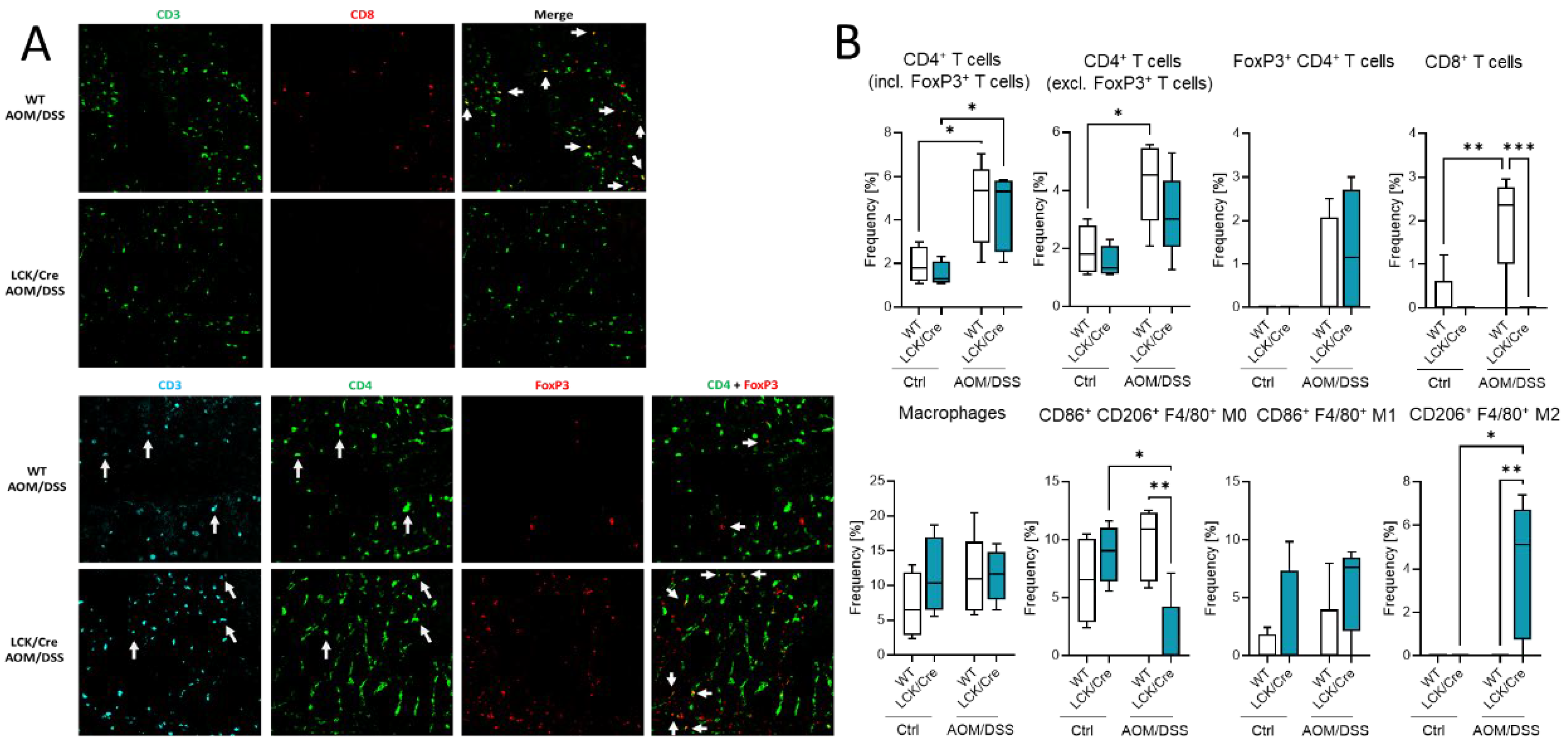 Ijms 23 01866 g007a 550