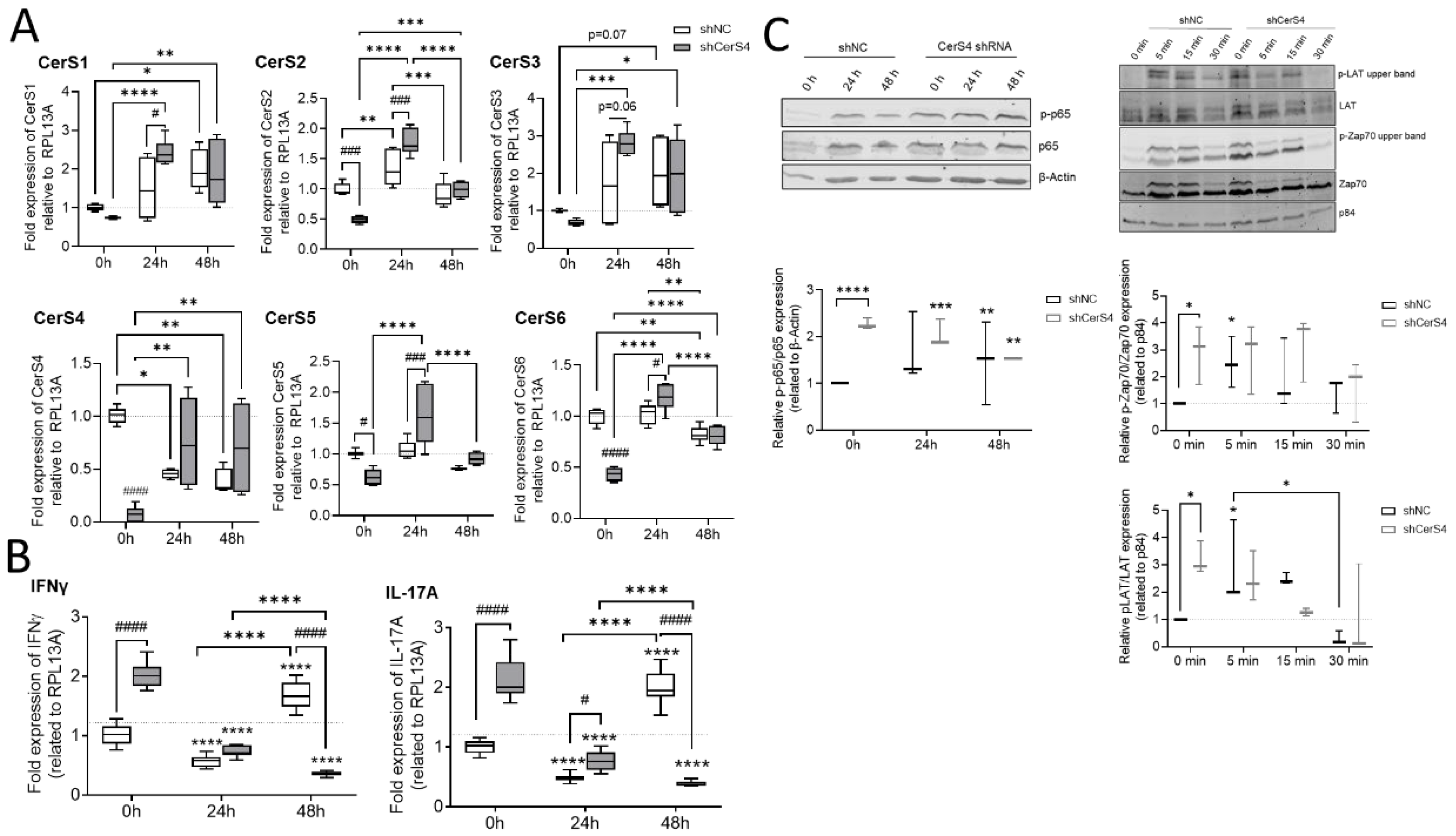 Ijms 23 01866 g009 550