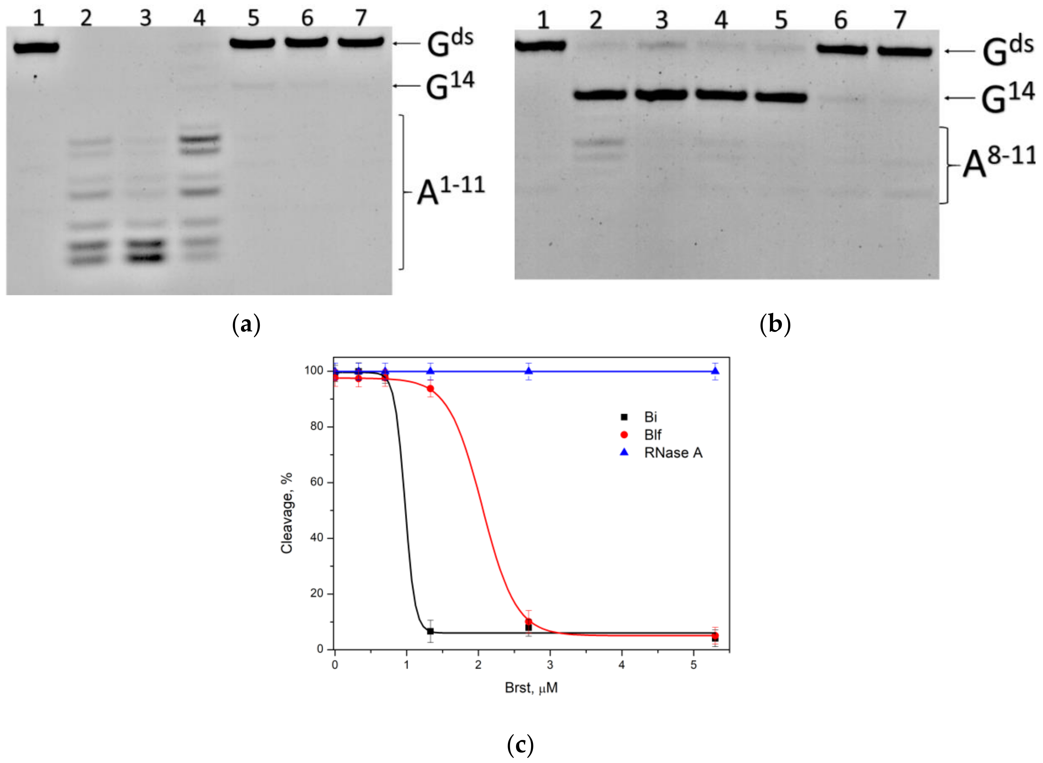 Ijms 23 01867 g005 550