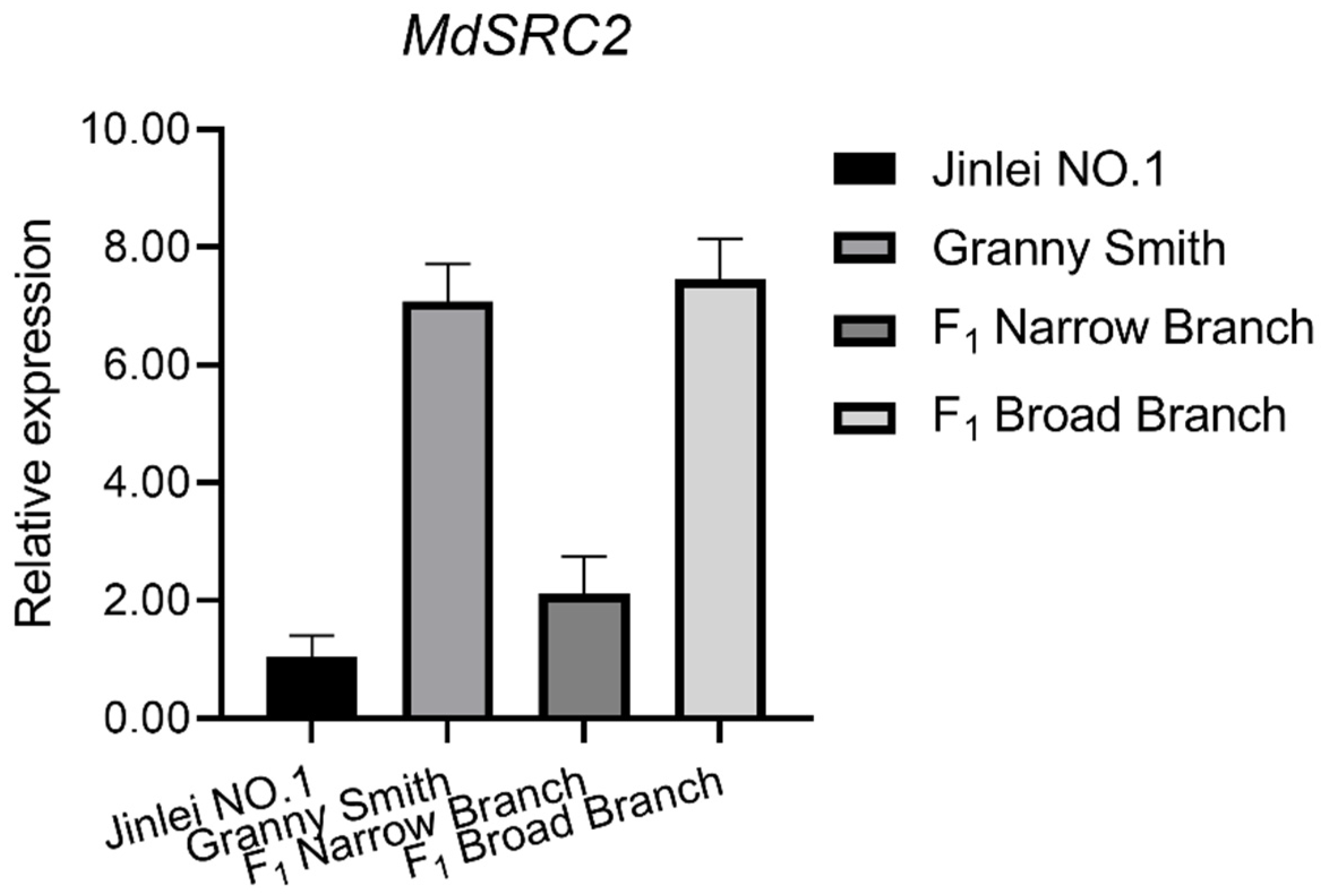 Functional Characterization of MdTAC1a Gene Related to