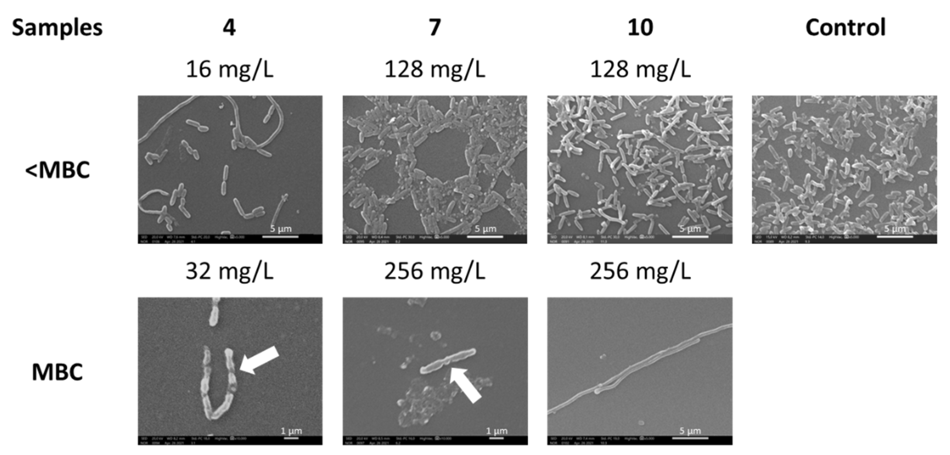 Ijms 23 01873 g003 550