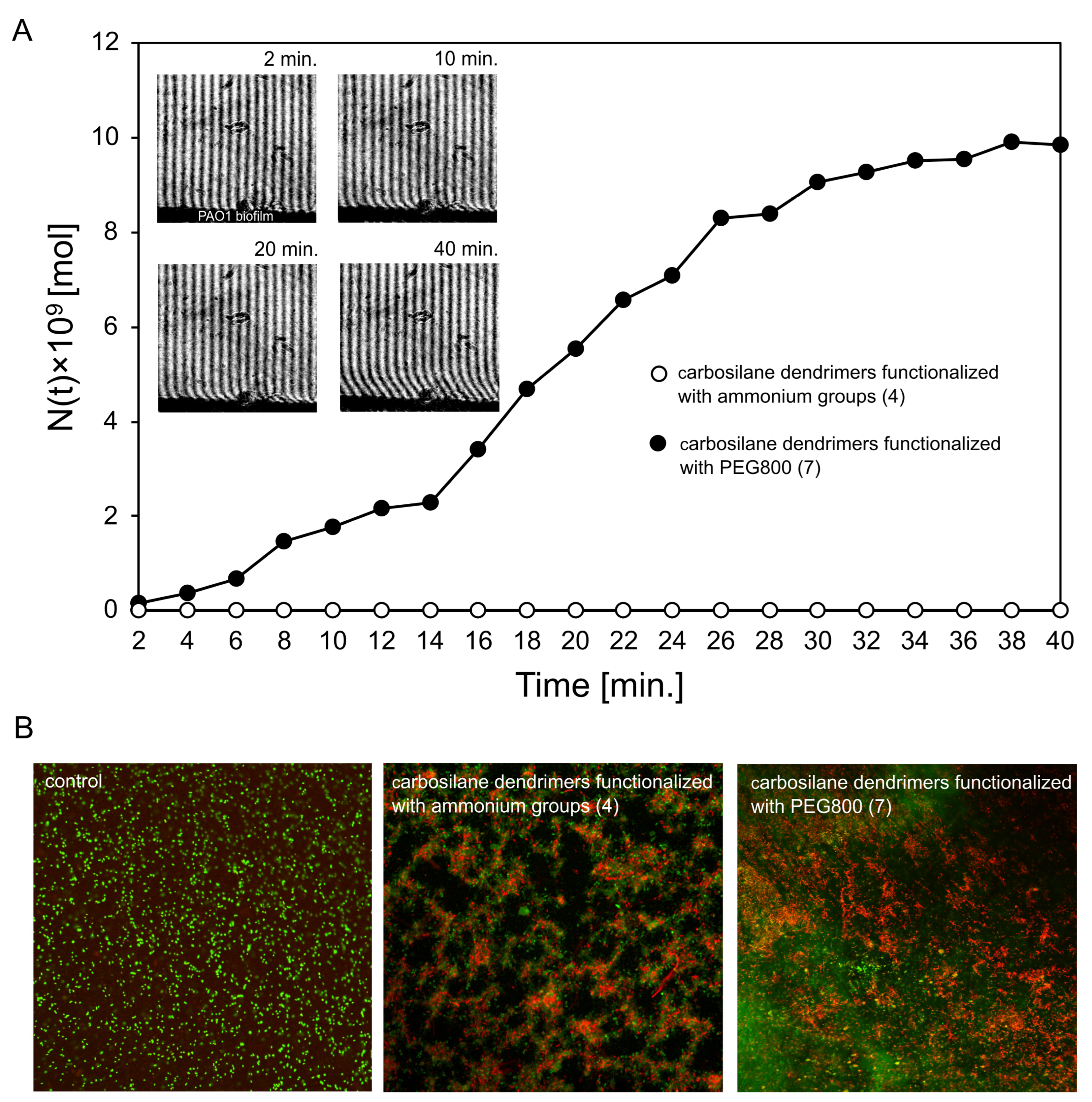 Ijms 23 01873 g004 550