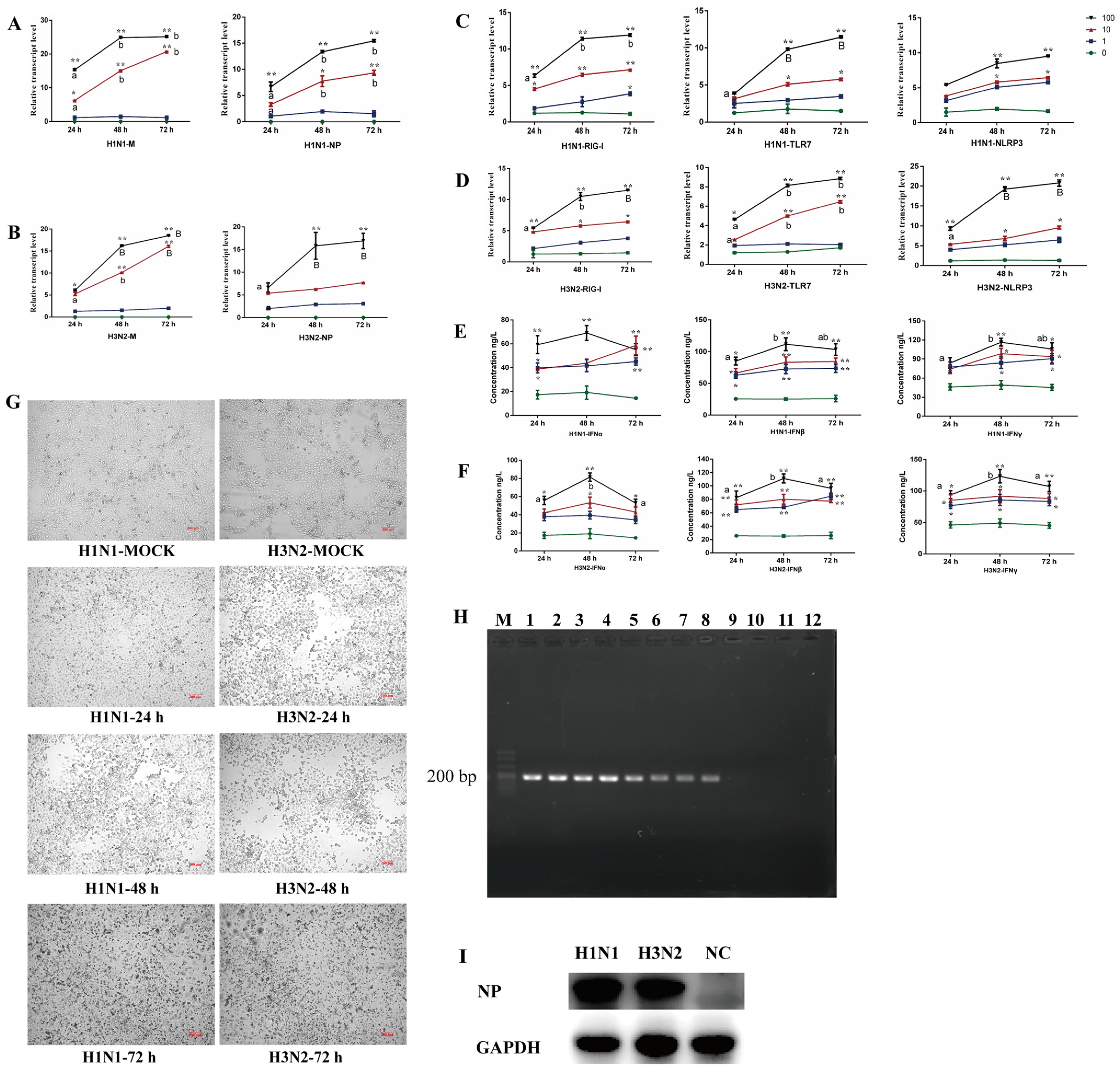 Ijms 23 01875 g001 550