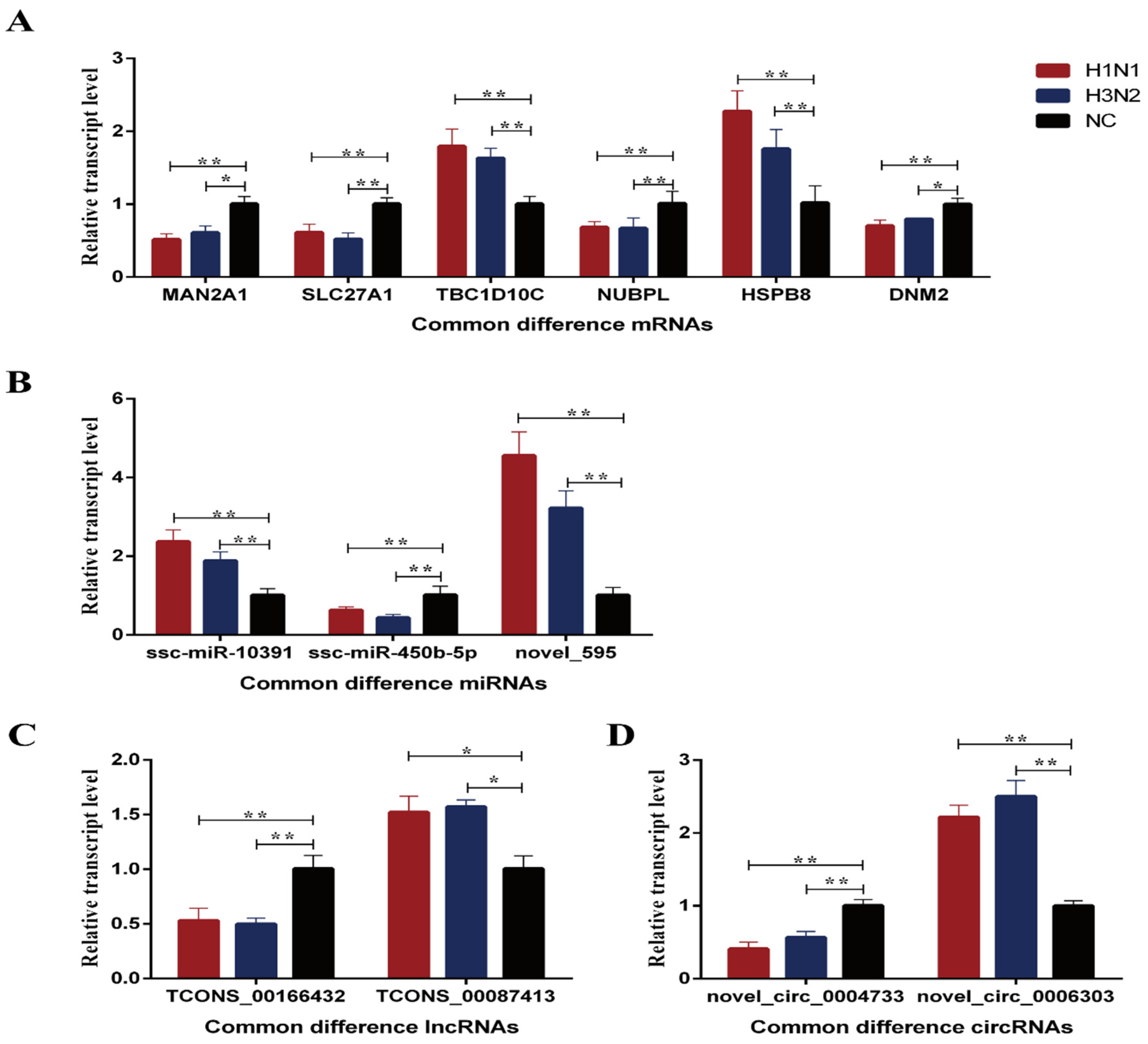 Ijms 23 01875 g002 550
