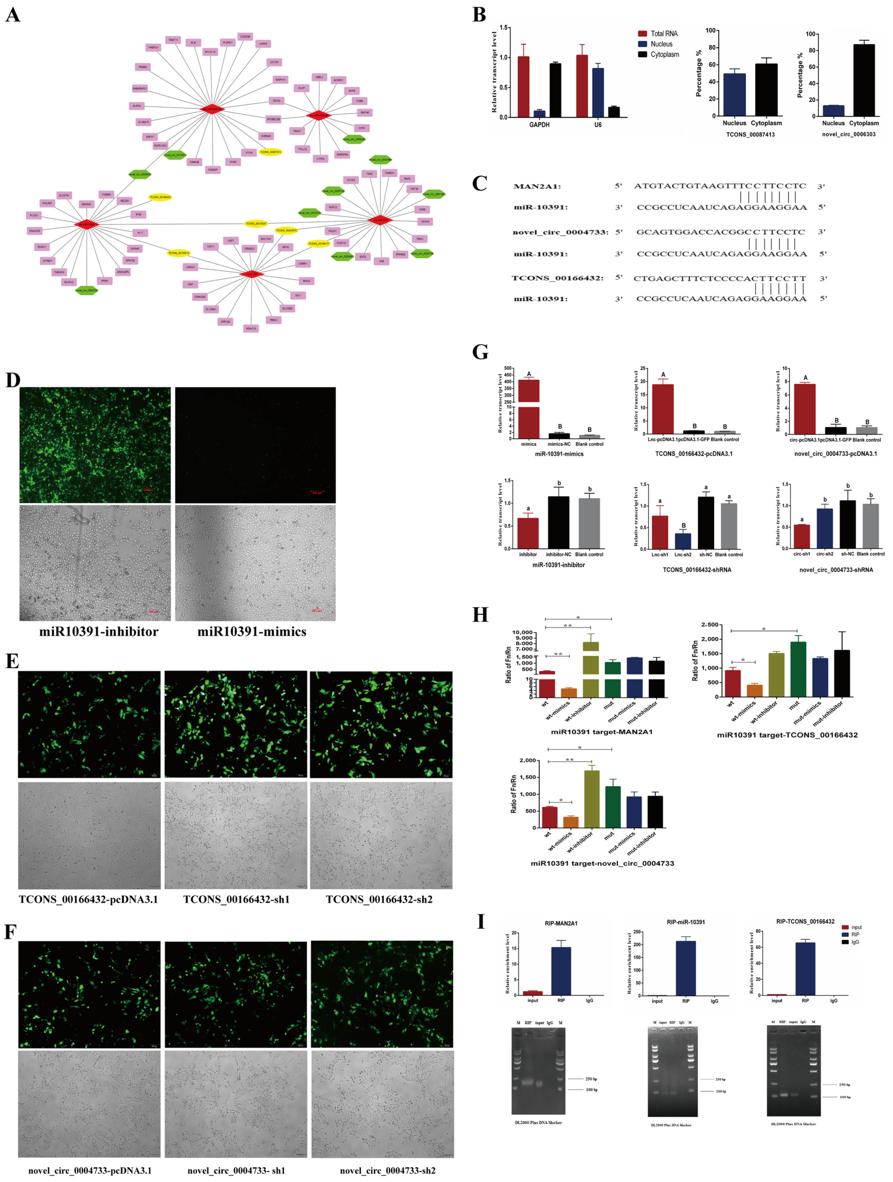 Ijms 23 01875 g003 550