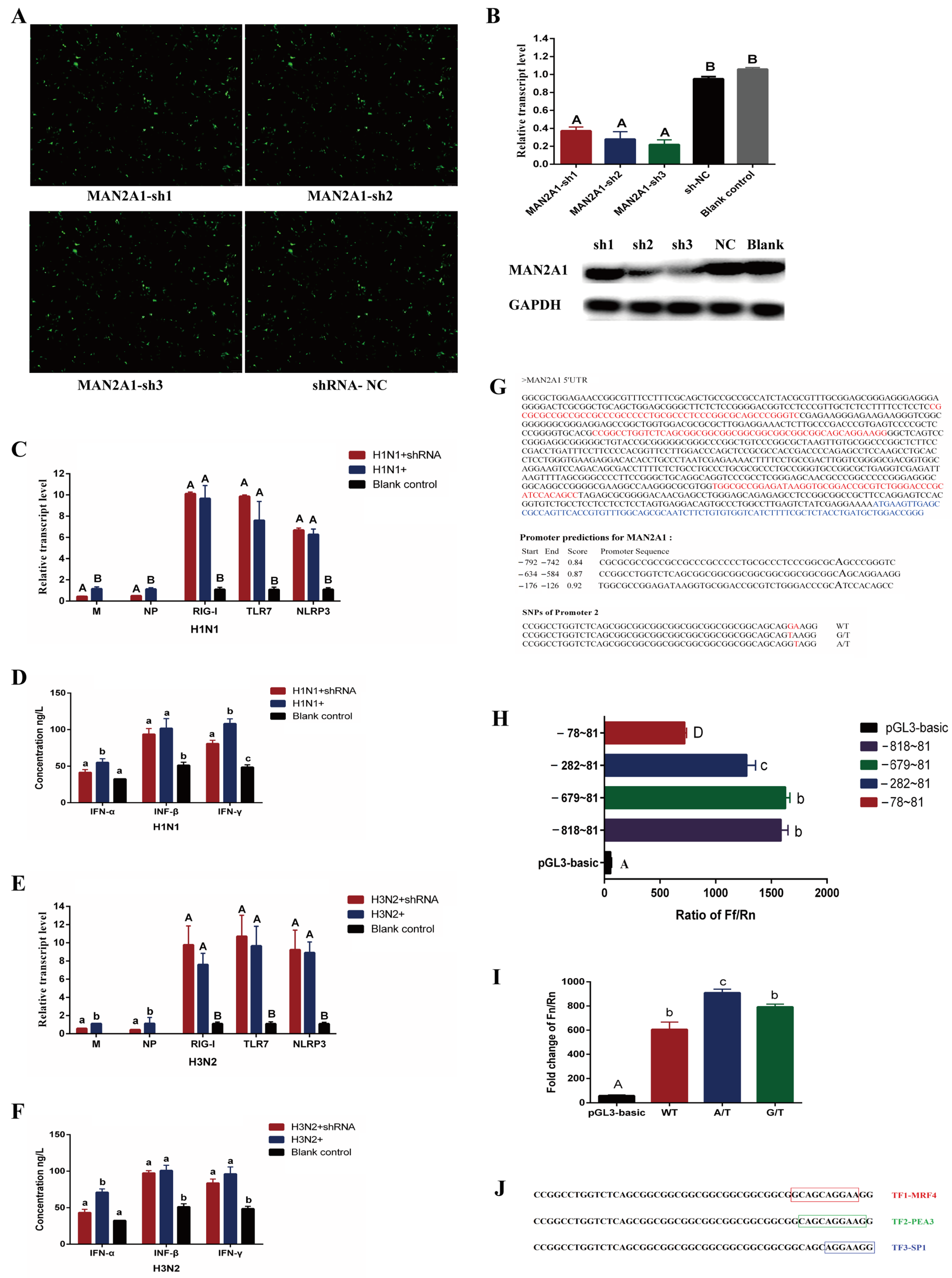 Ijms 23 01875 g005 550