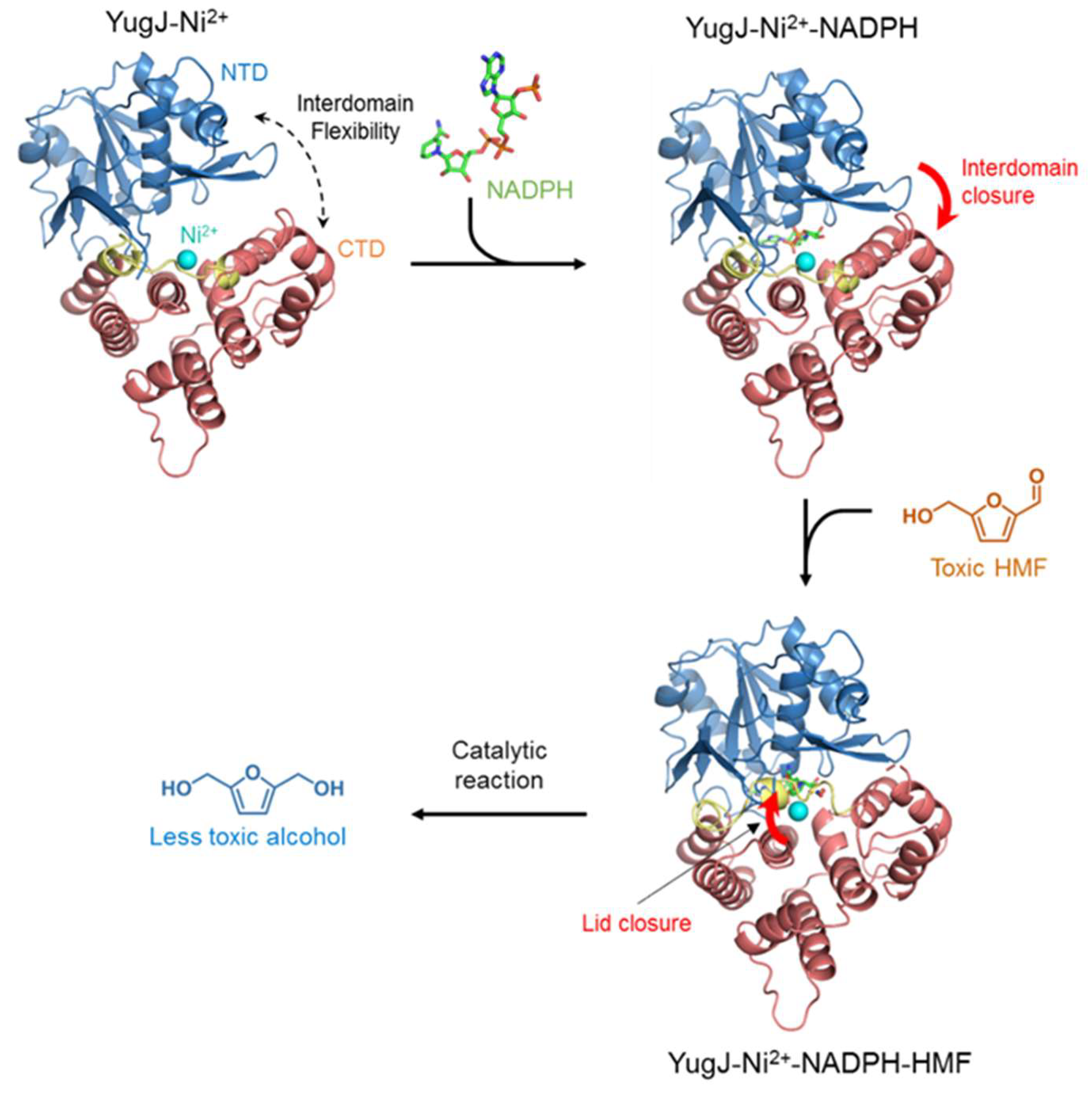 Ijms 23 01882 g006 550