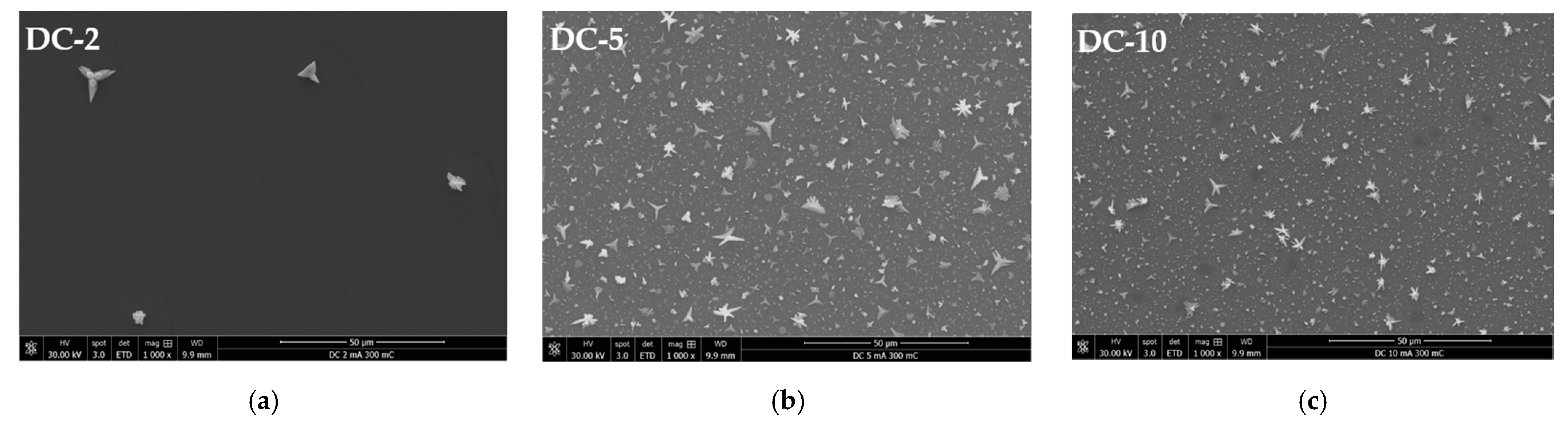 Ijms 23 01891 g003a 550