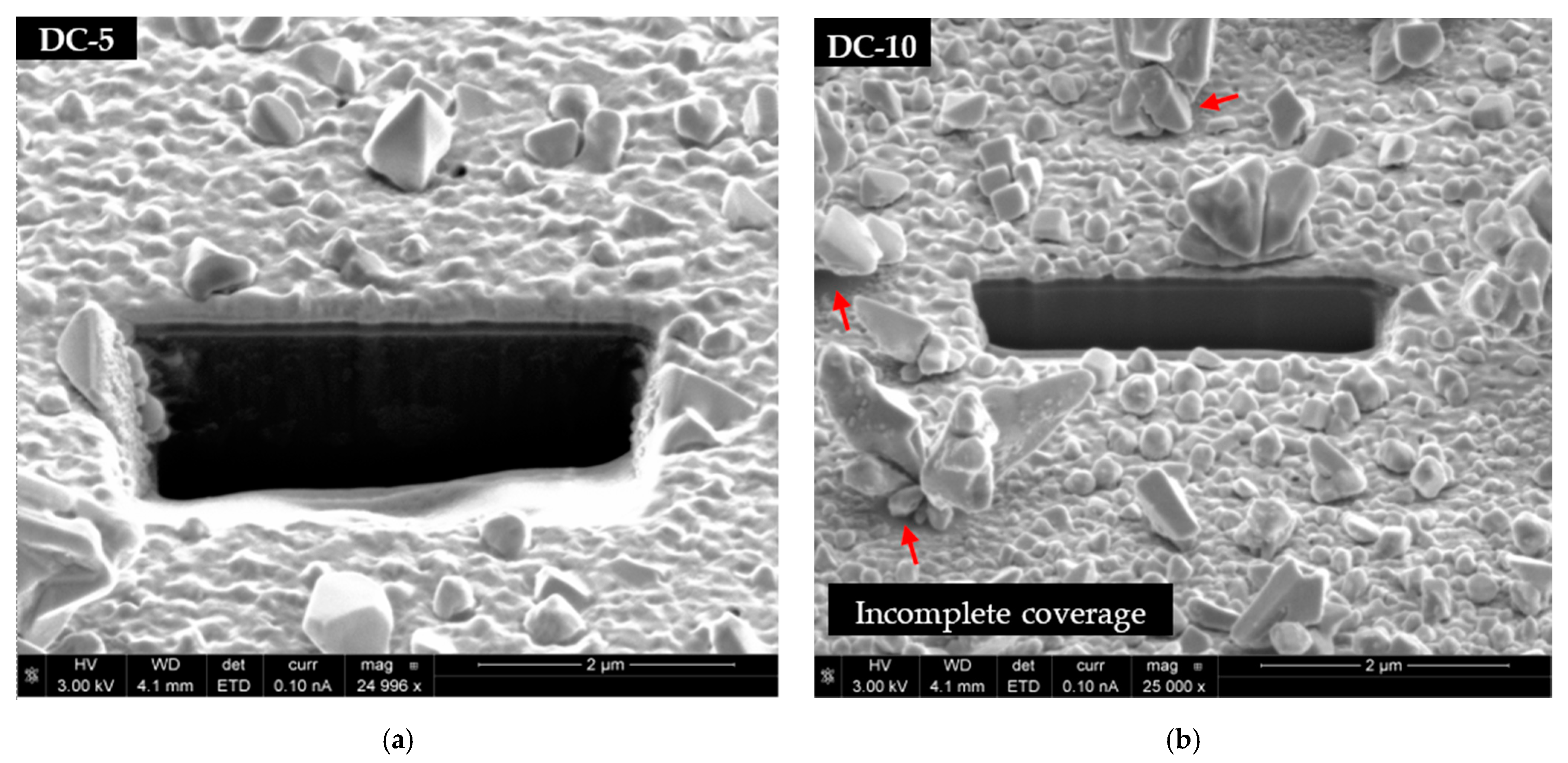 Ijms 23 01891 g010 550