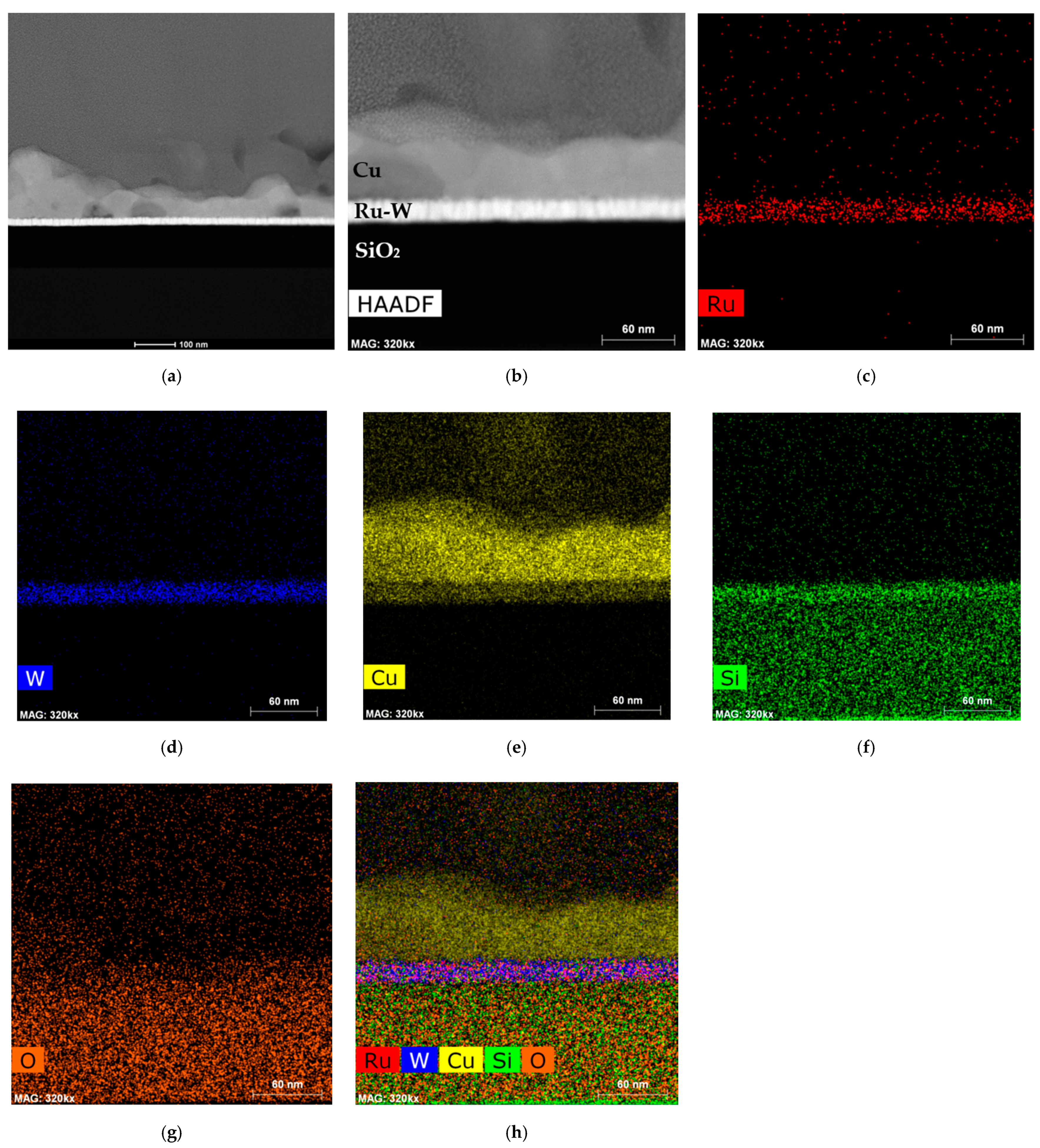 Ijms 23 01891 g011 550