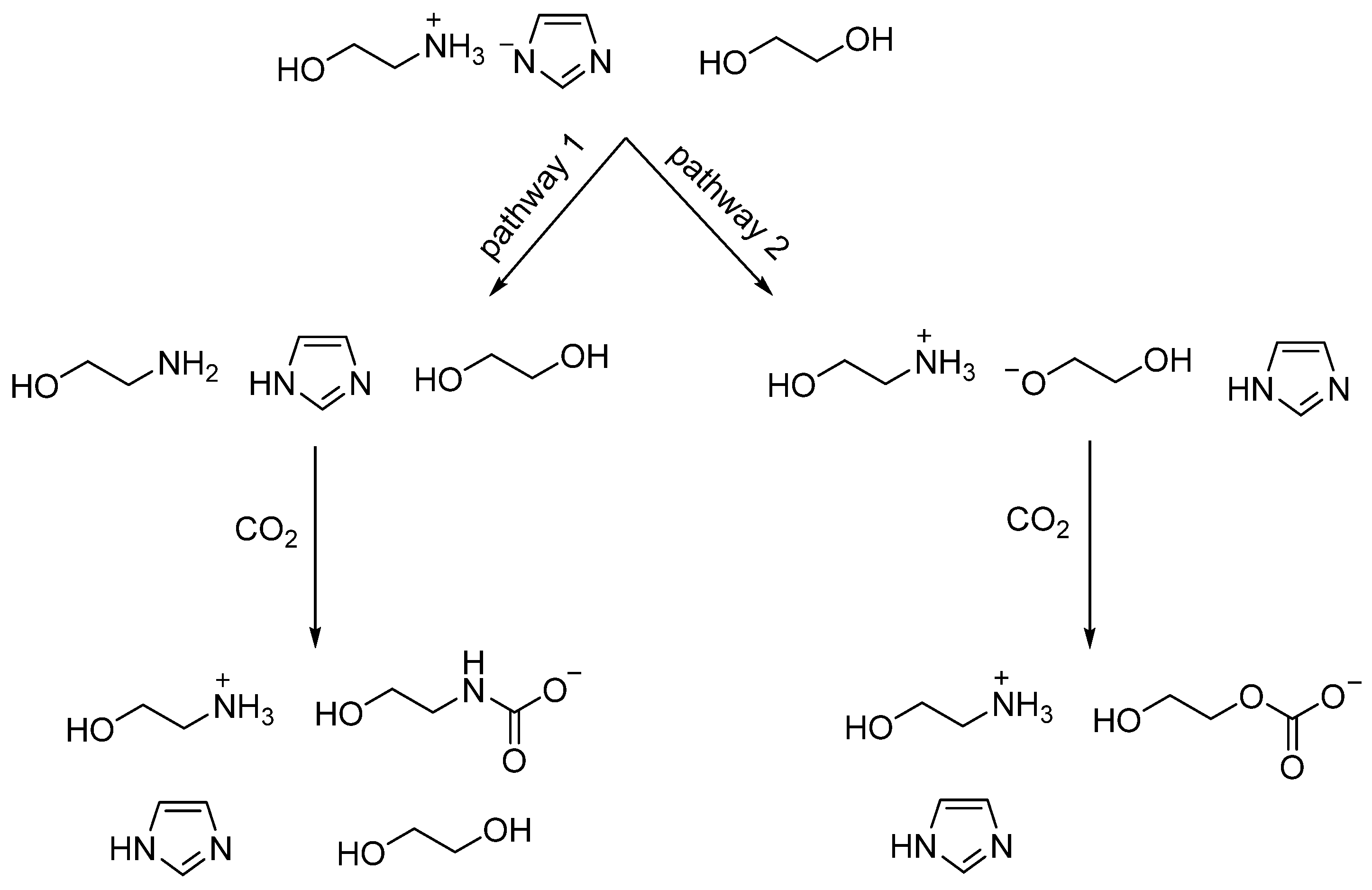Ijms 23 01893 sch002 550