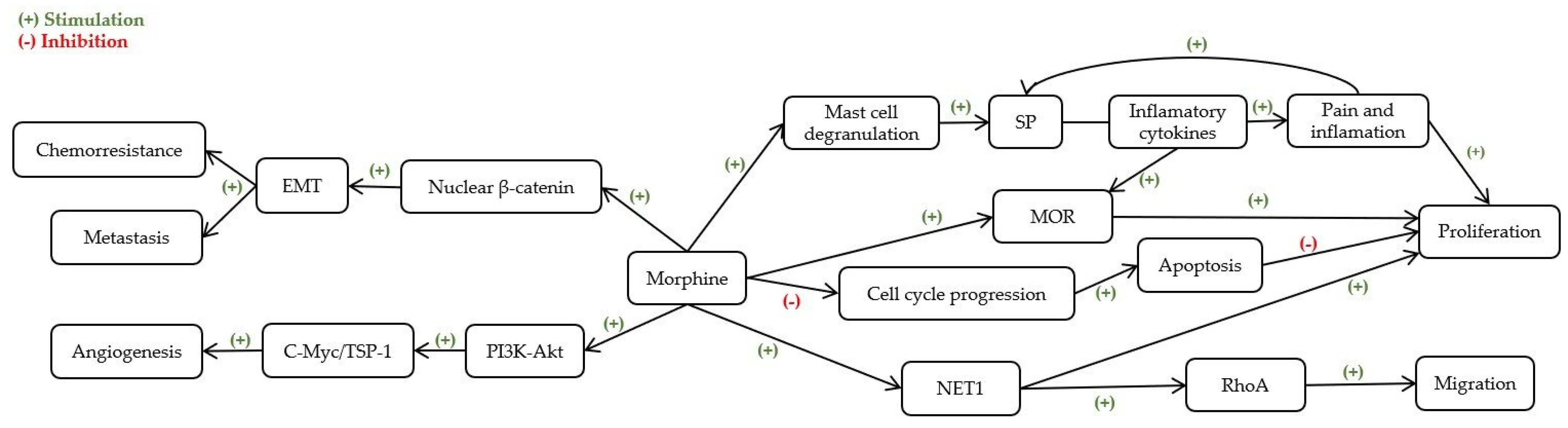 Ijms 23 01894 g005 550