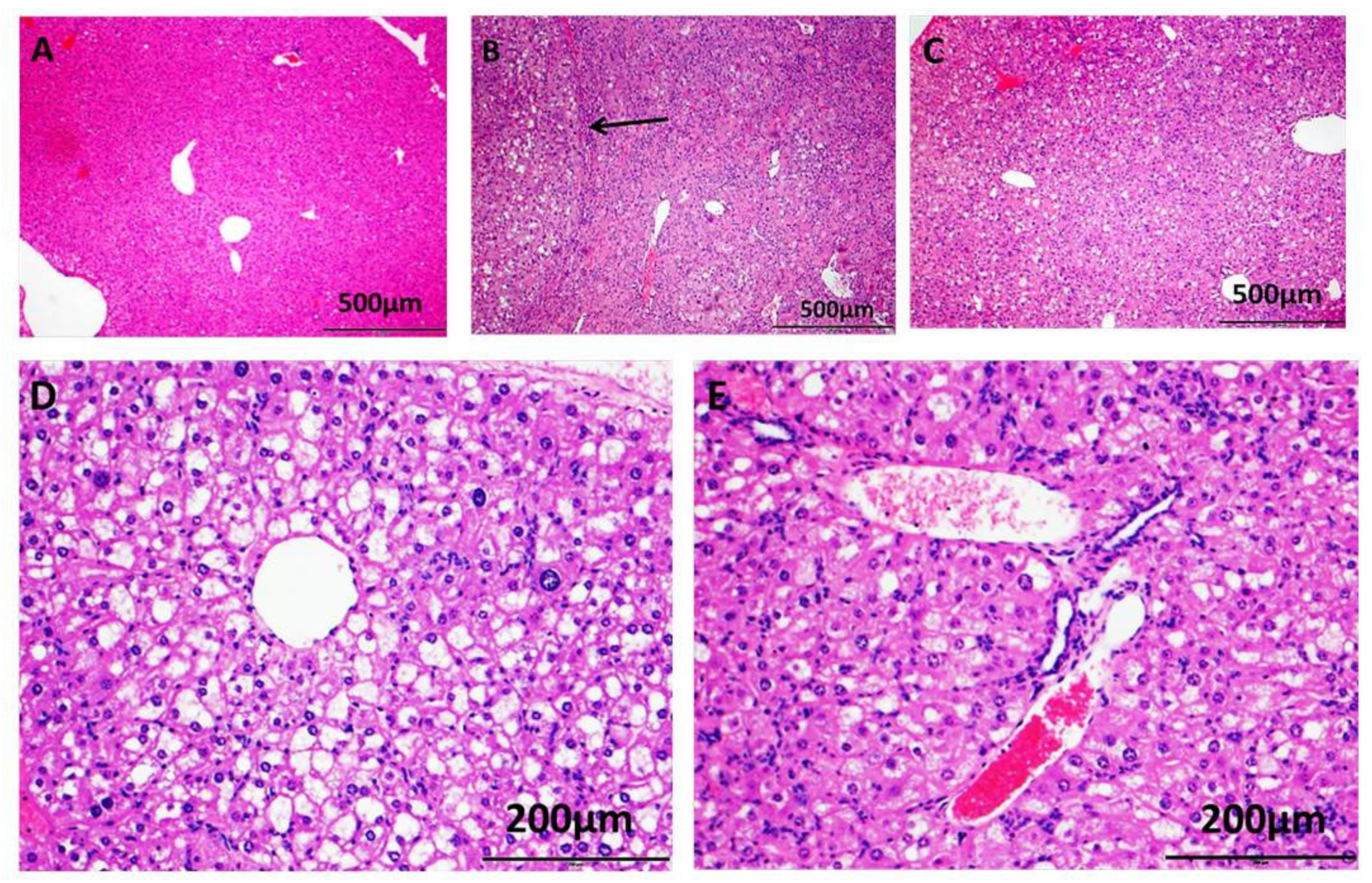 Ijms 23 01899 g002 550