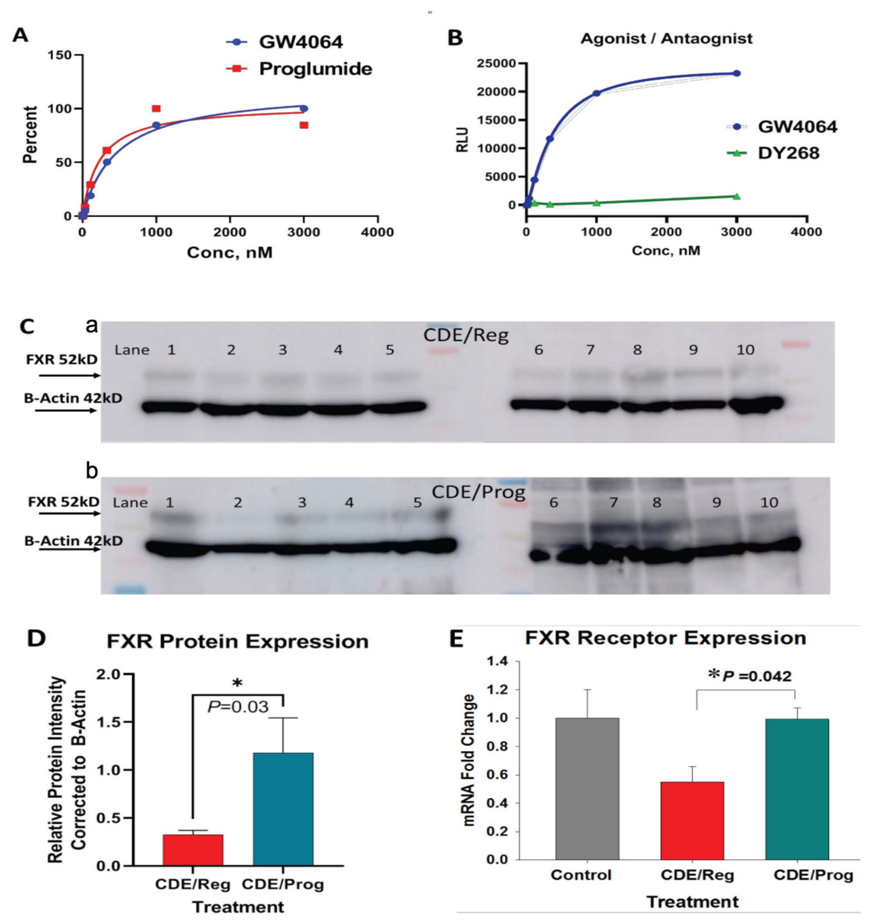 Ijms 23 01899 g006 550