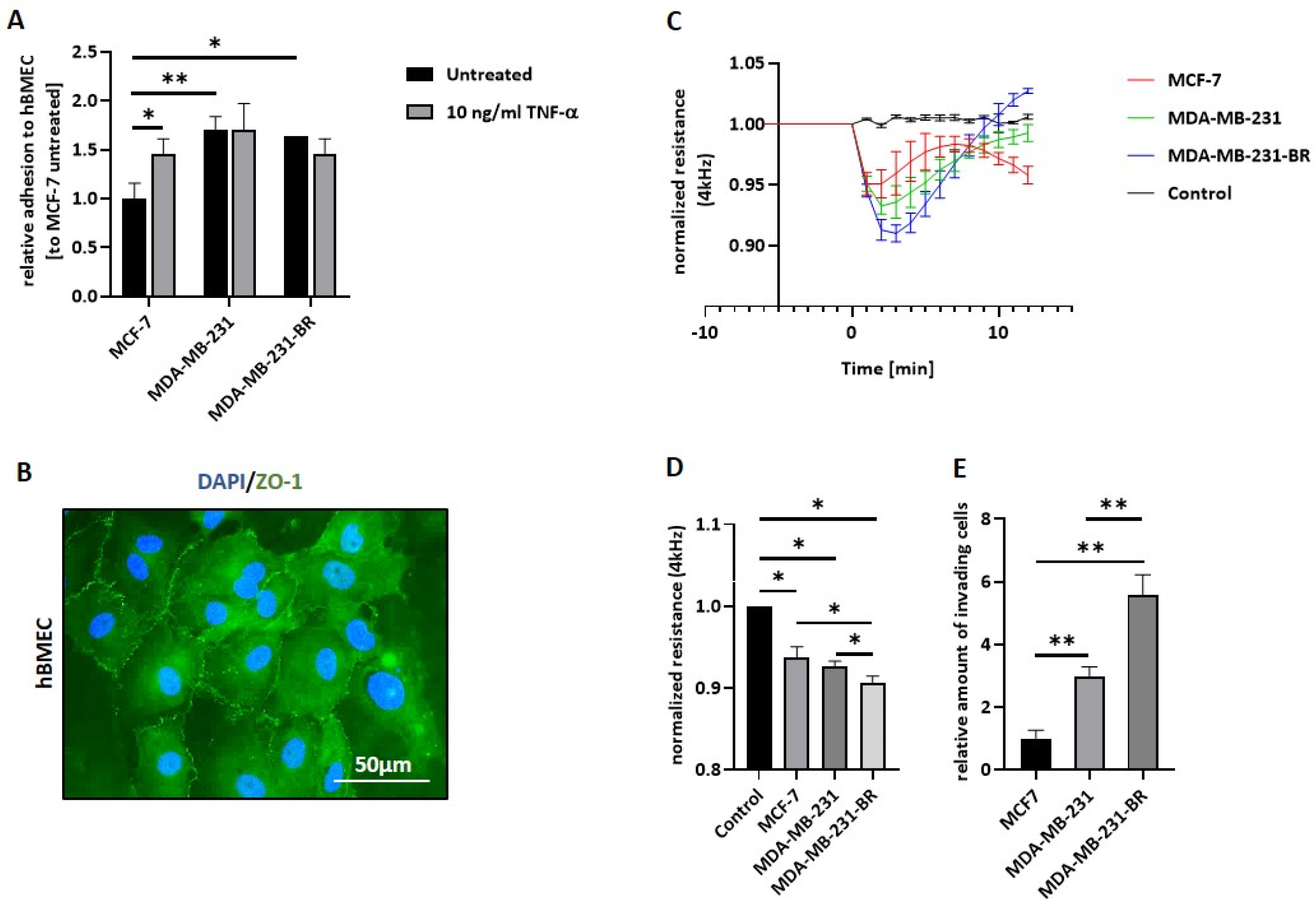 Ijms 23 01900 g001 Ijms 23 01900 g001