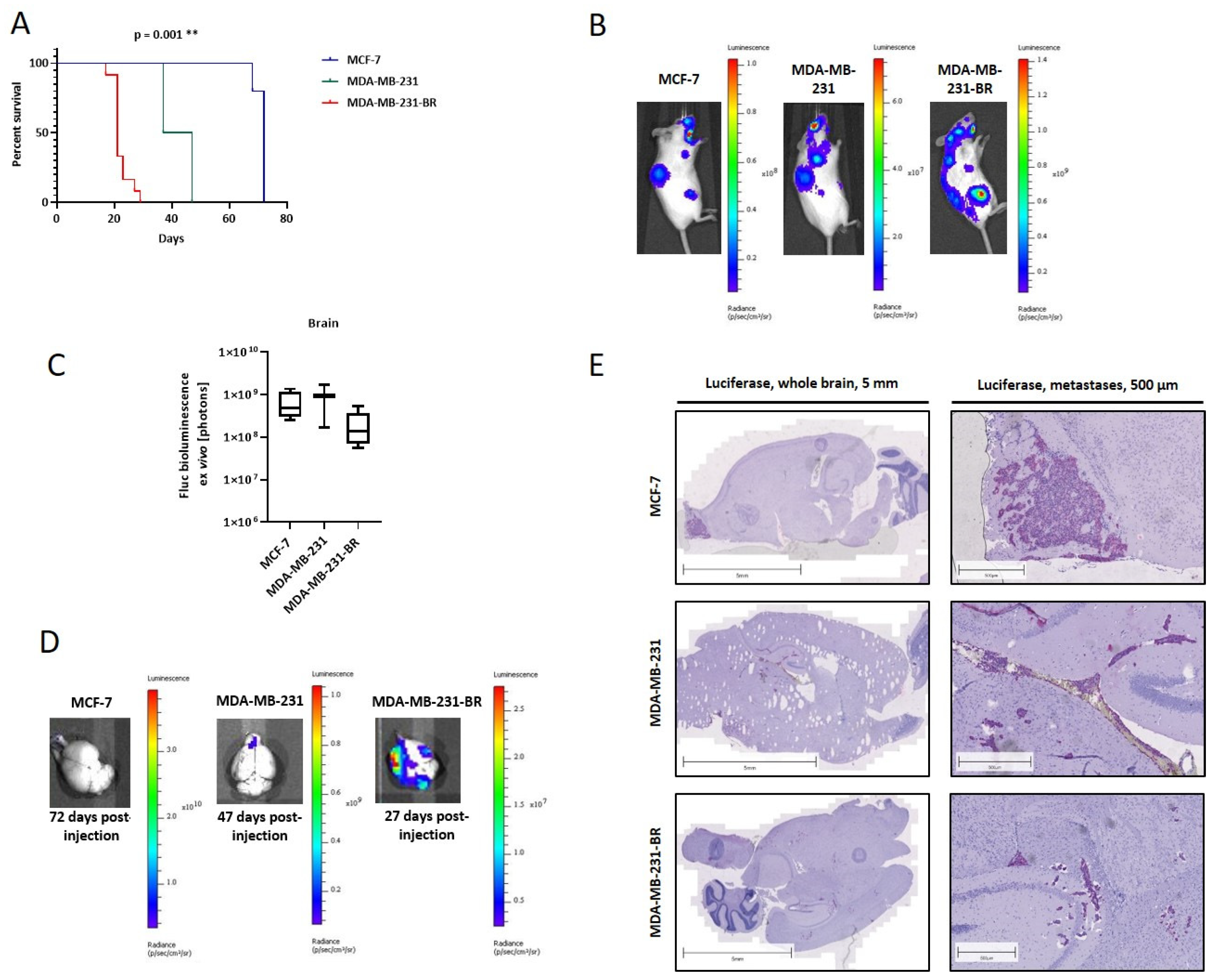 Ijms 23 01900 g002 Ijms 23 01900 g002