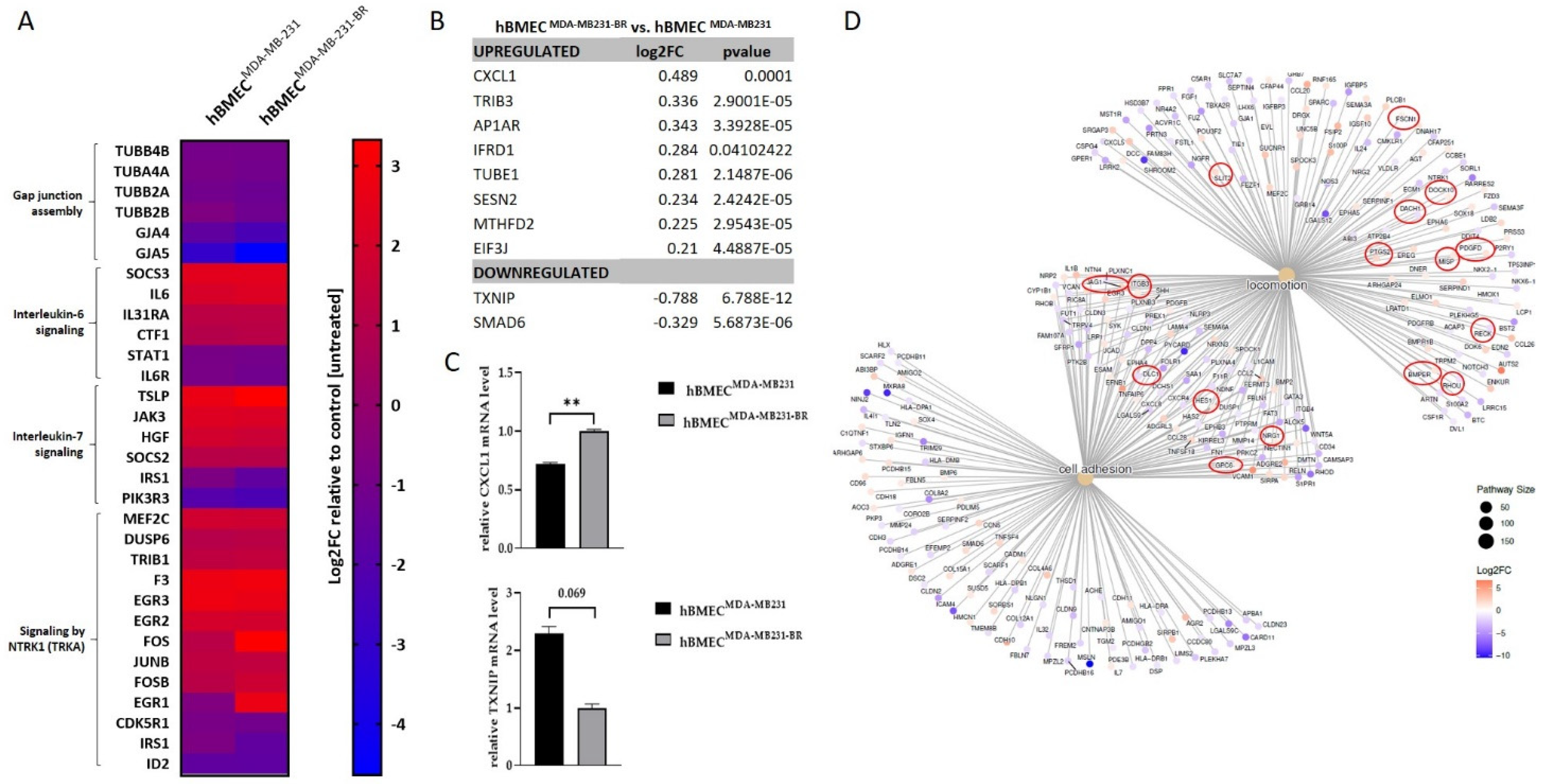 Ijms 23 01900 g004 Ijms 23 01900 g004