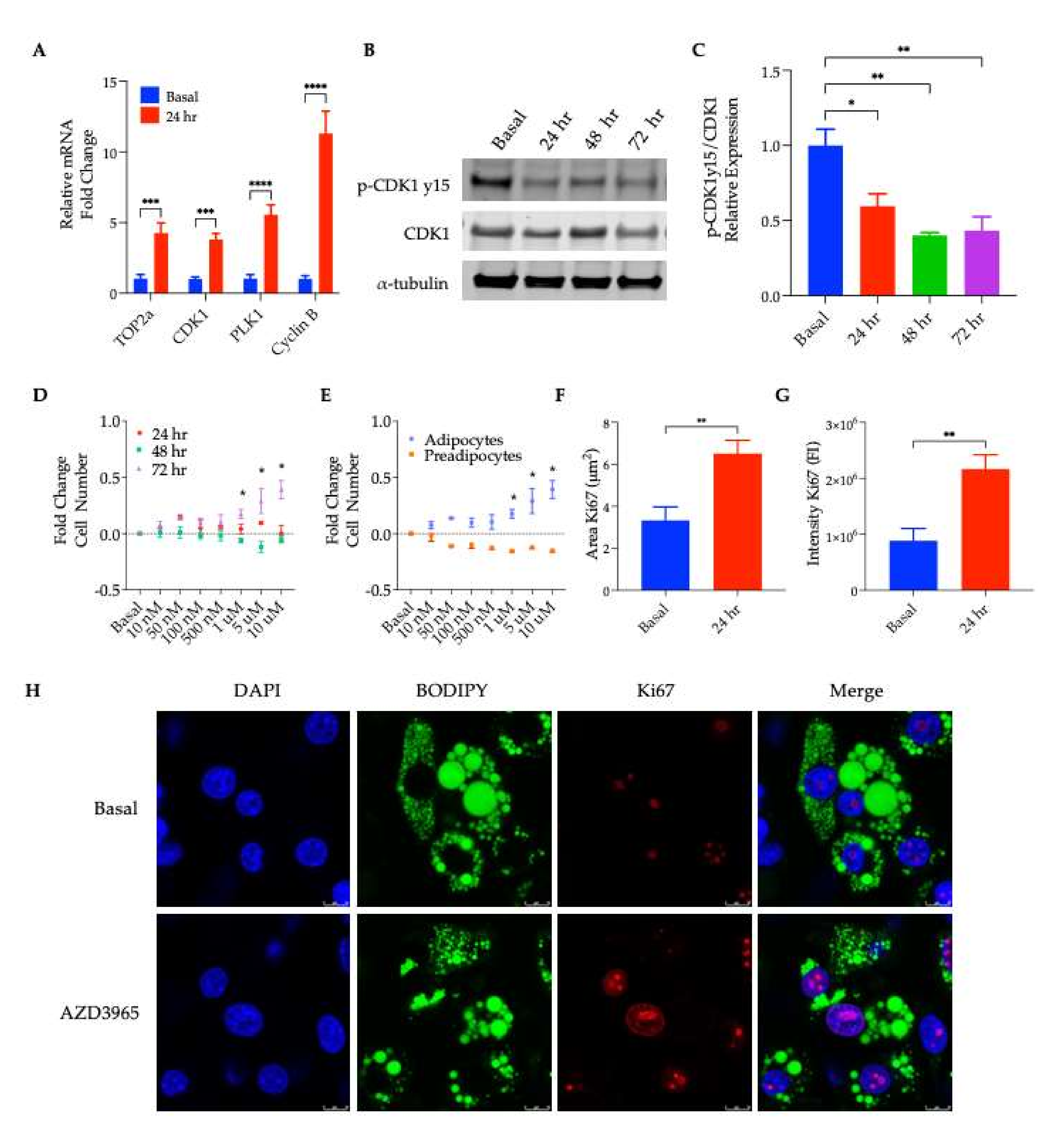 Ijms 23 01901 g004 550