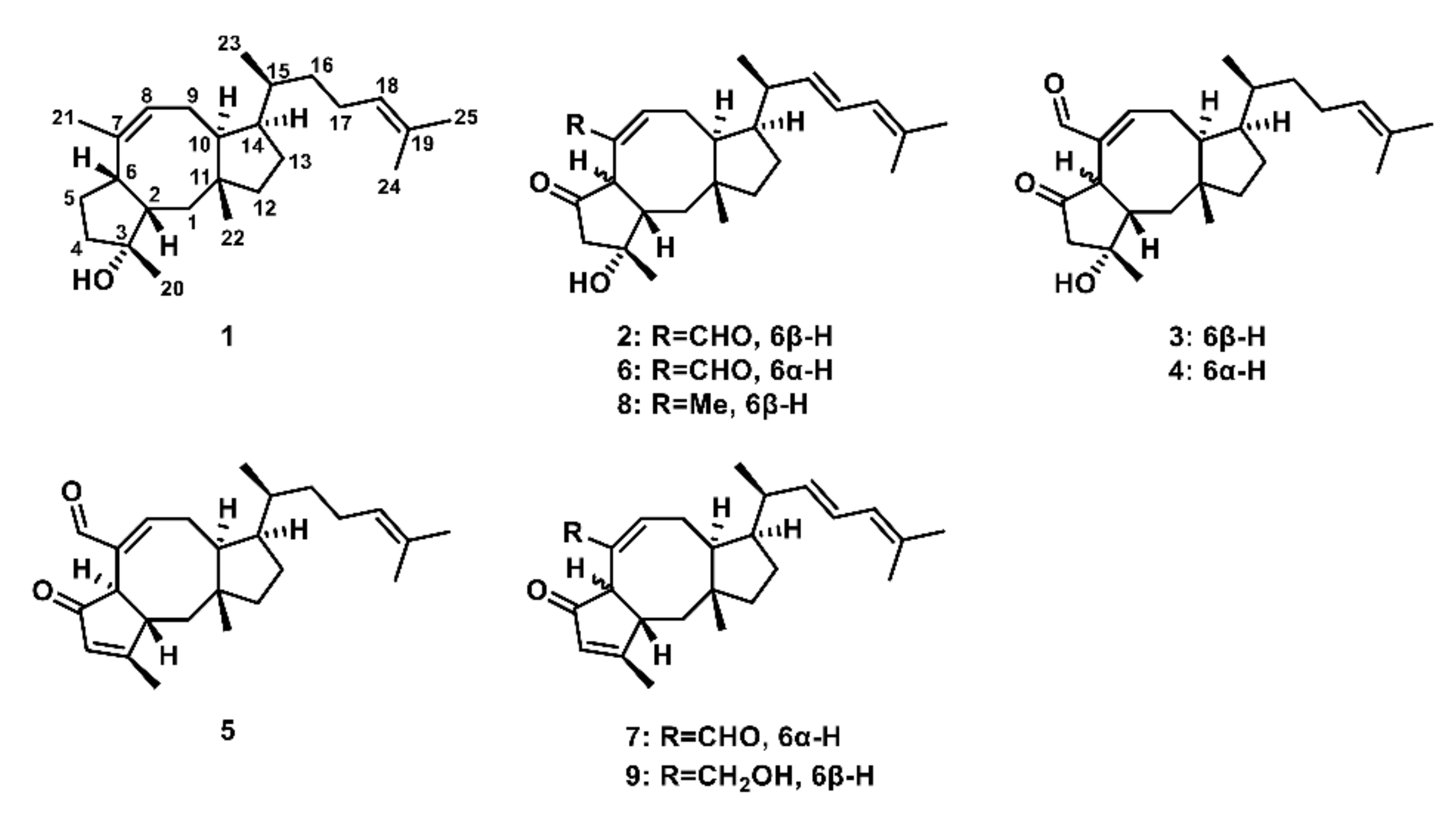 Ijms 23 01903 g001 550