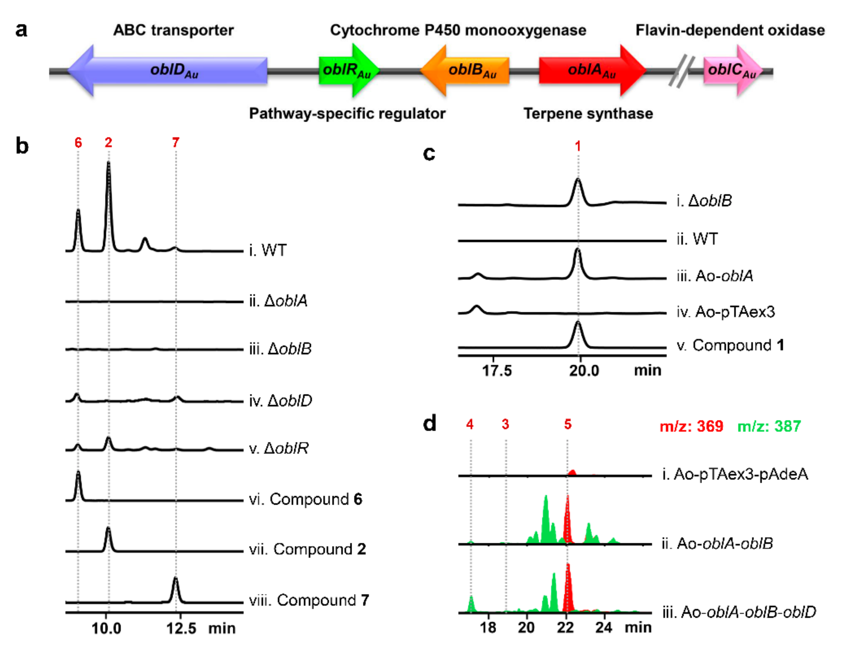 Ijms 23 01903 g002 550