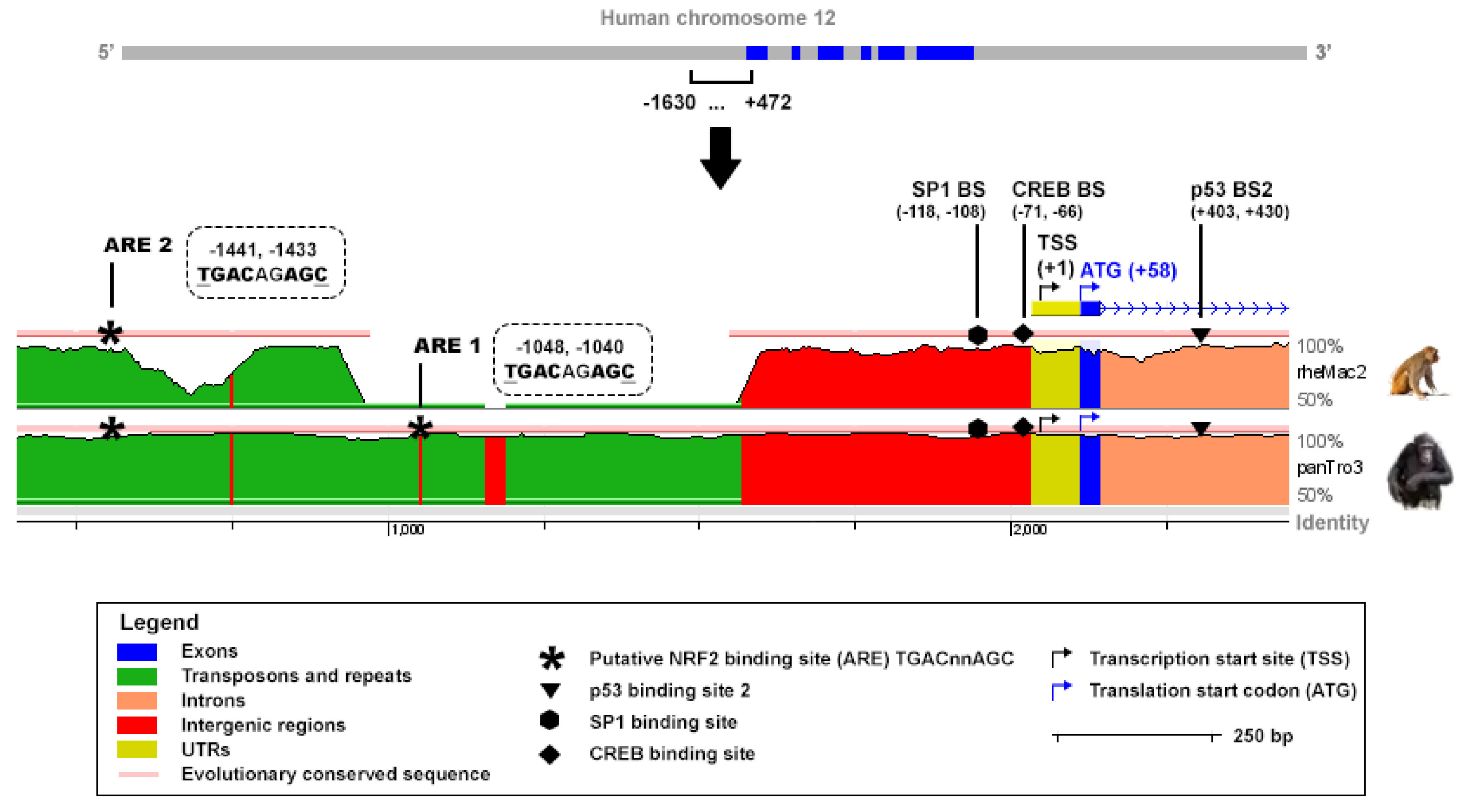 Ijms 23 01905 g003 550