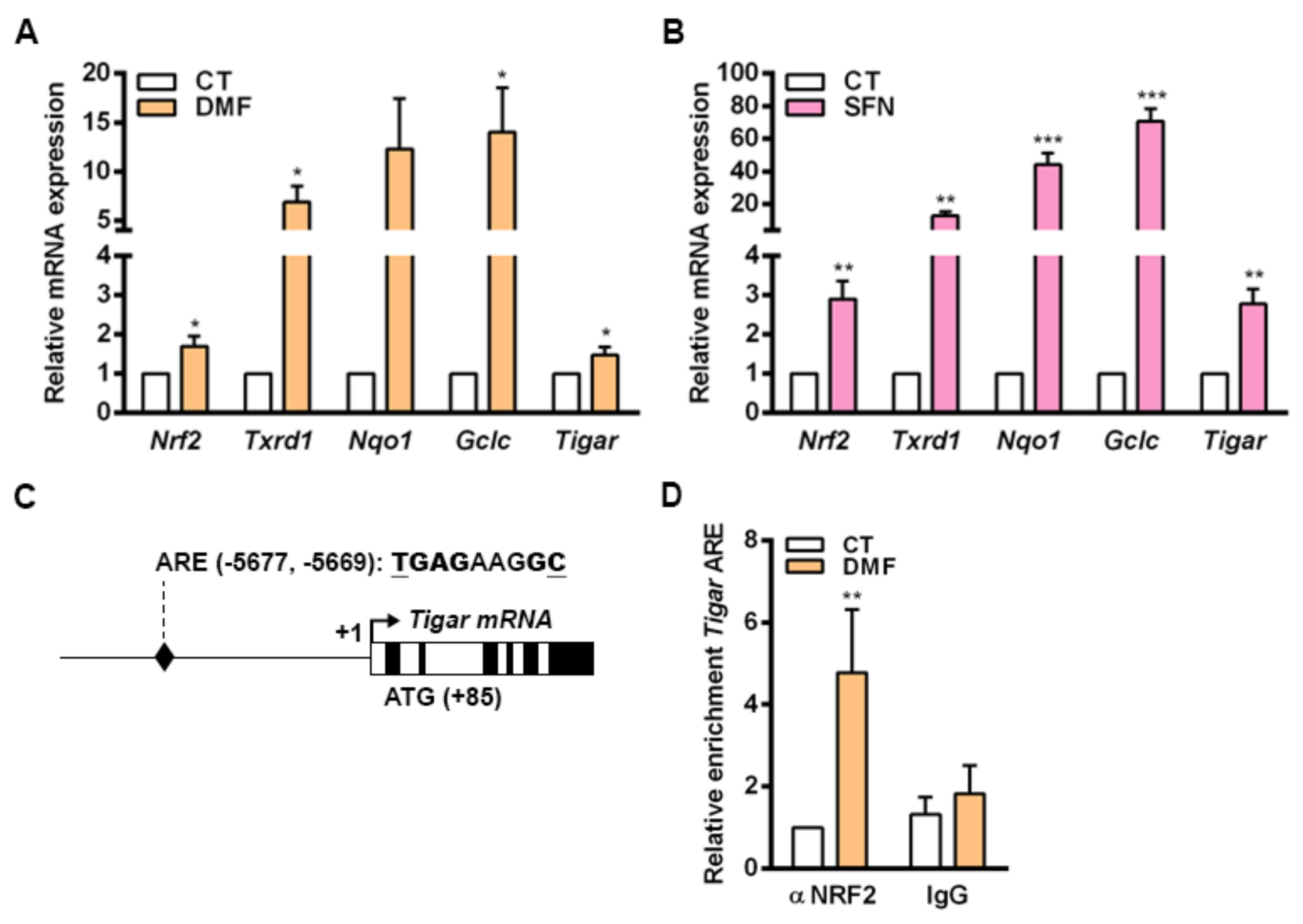 Ijms 23 01905 g005 550