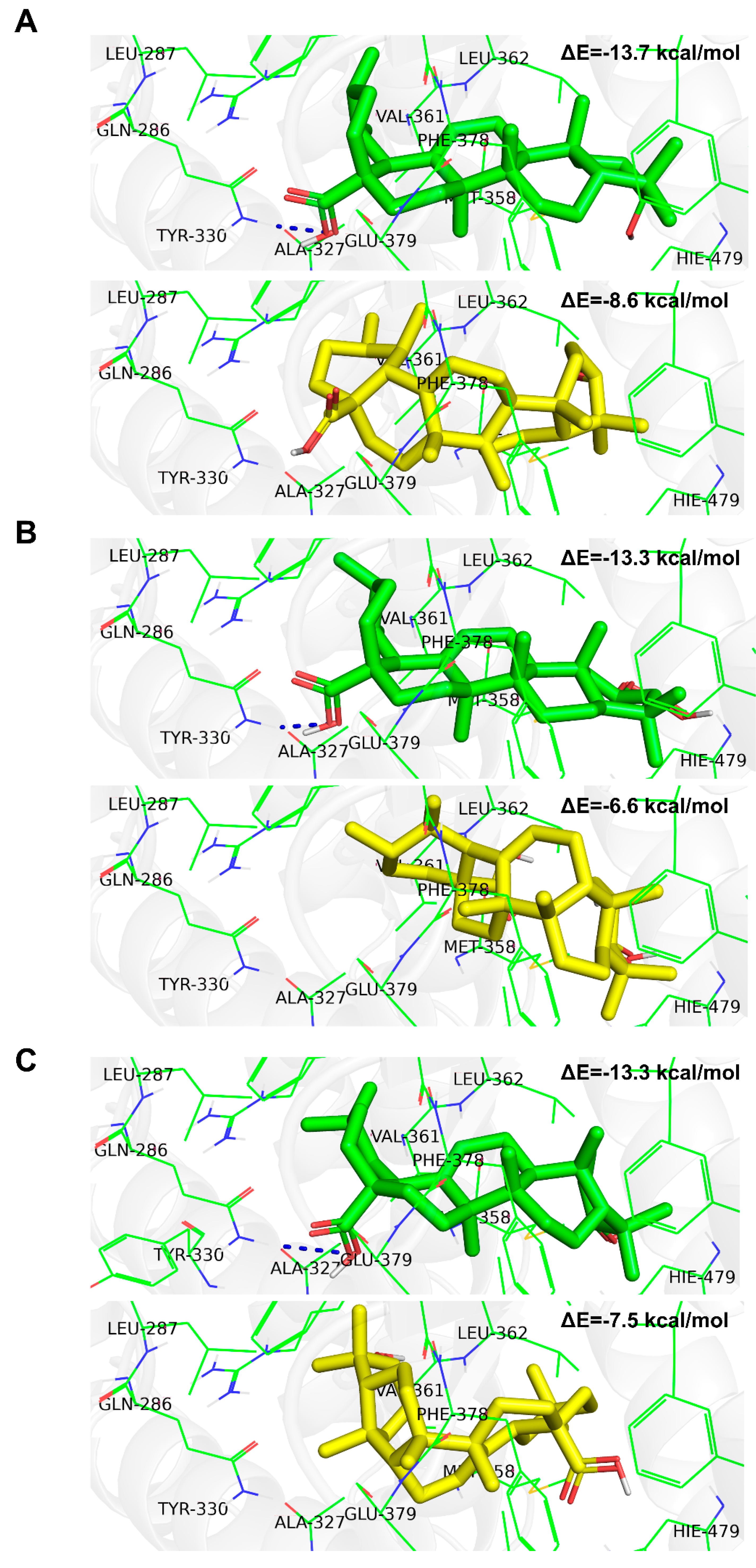 Ijms 23 01906 g004 Ijms 23 01906 g004
