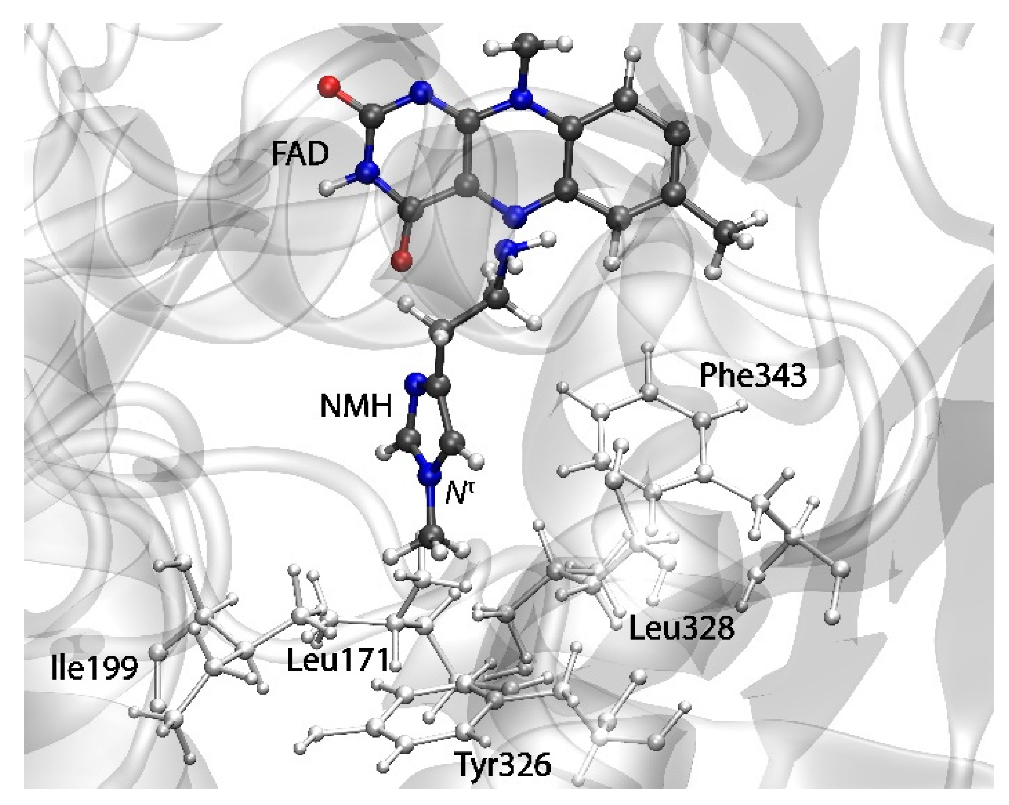 Ijms 23 01910 g006 Ijms 23 01910 g006