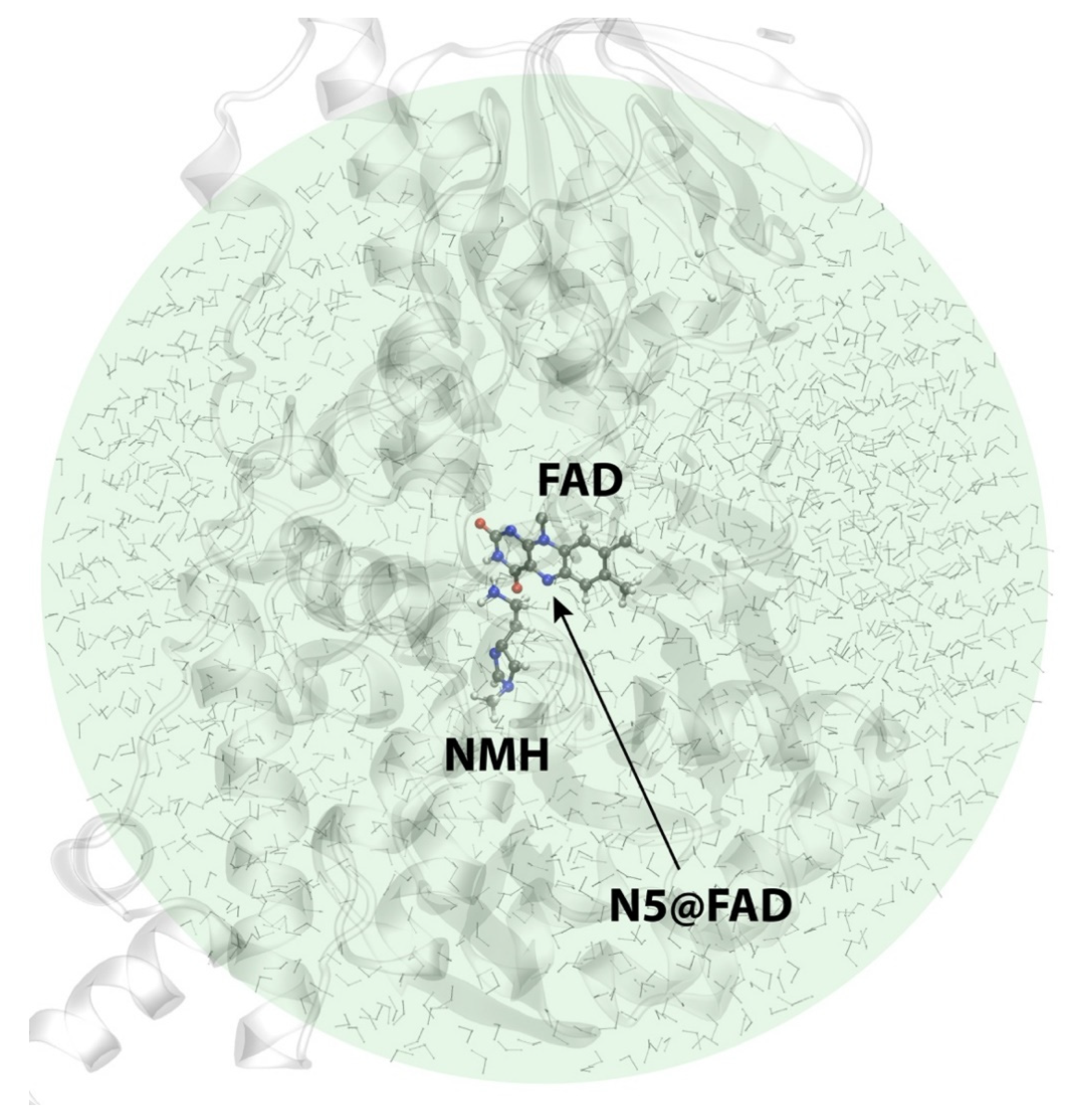 Ijms 23 01910 g007 Ijms 23 01910 g007