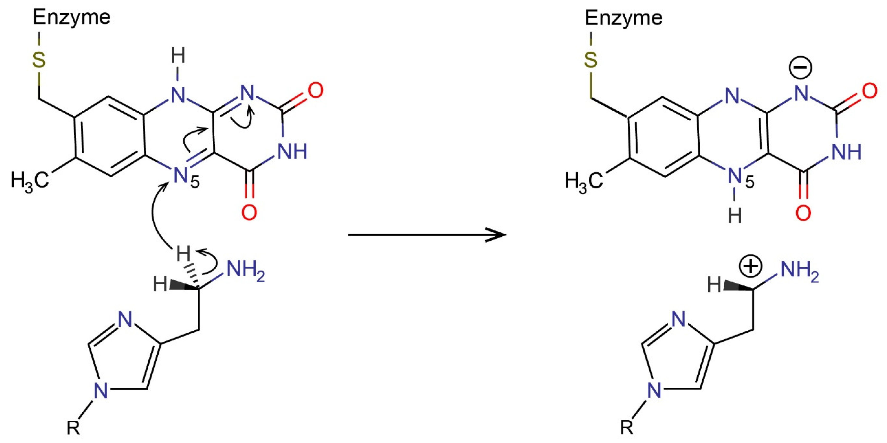 Ijms 23 01910 sch001 Ijms 23 01910 sch001