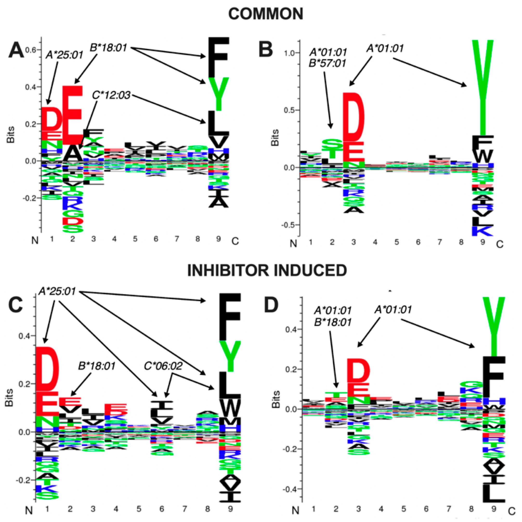 Ijms 23 01913 g004 550