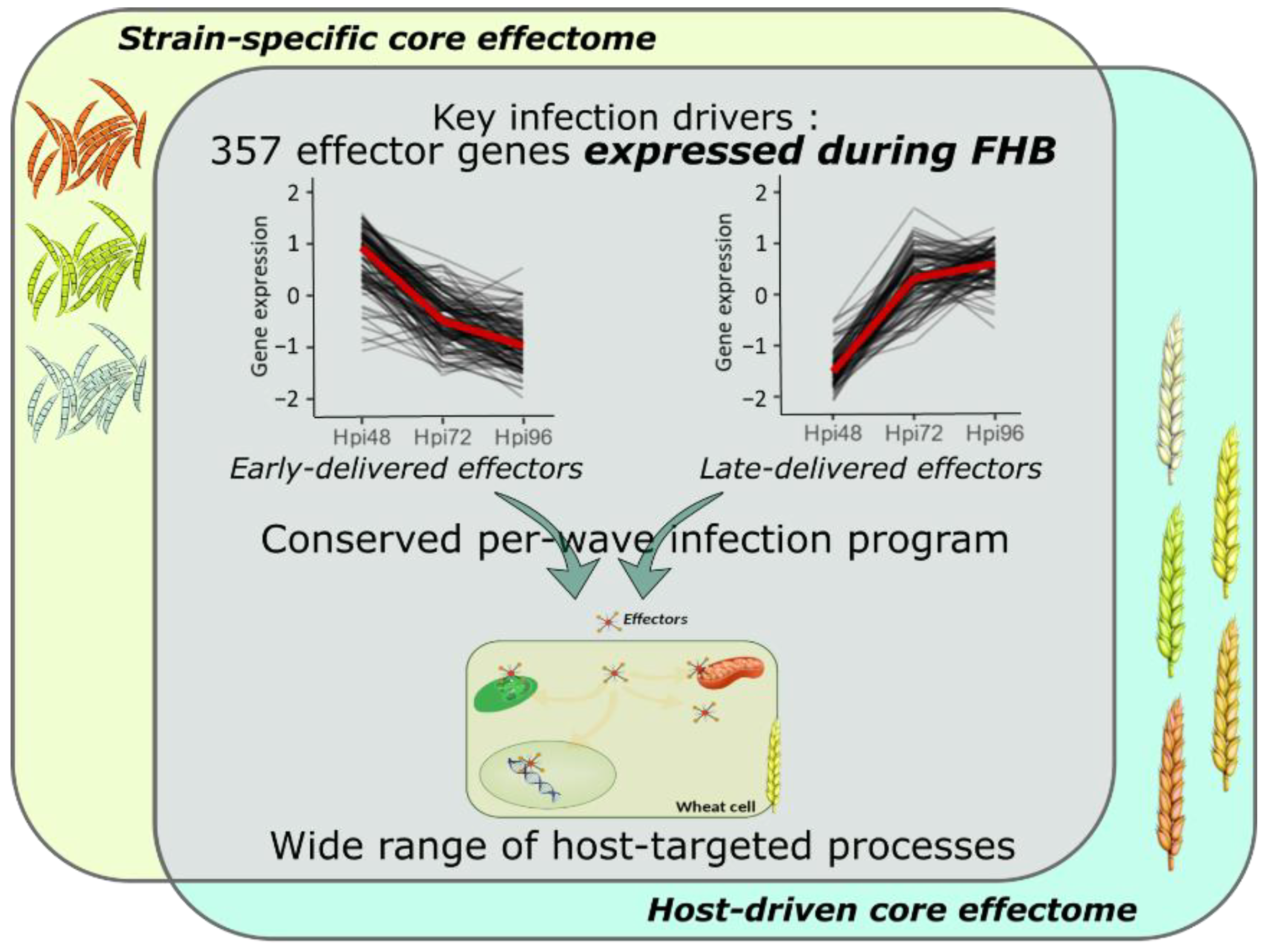 Ijms 23 01914 g007 550