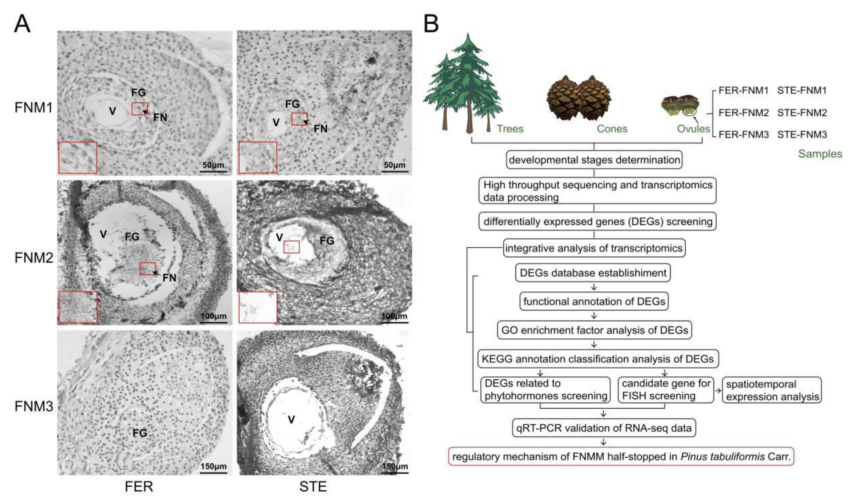 Ijms 23 01915 g001 550