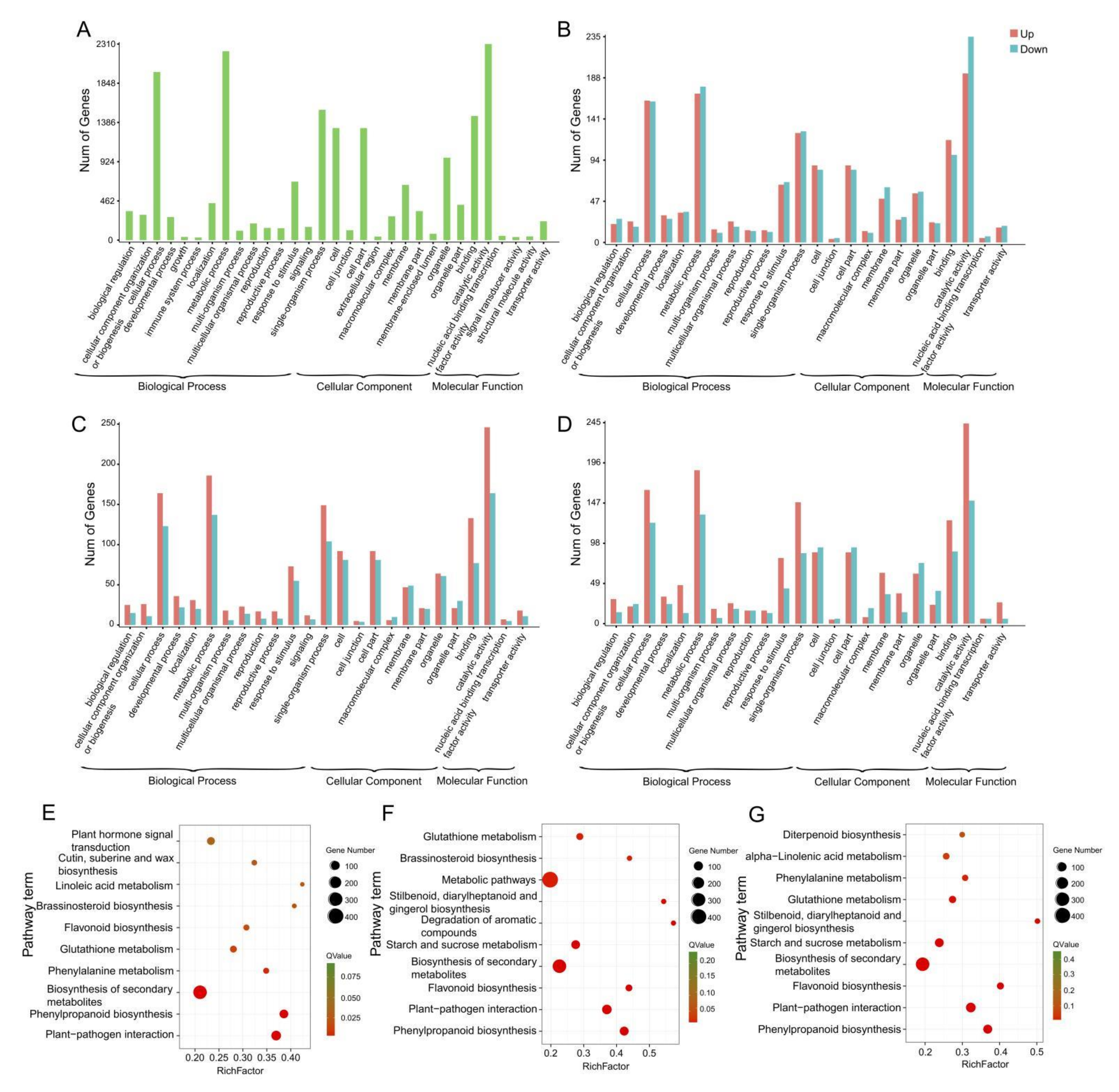 Ijms 23 01915 g003 550