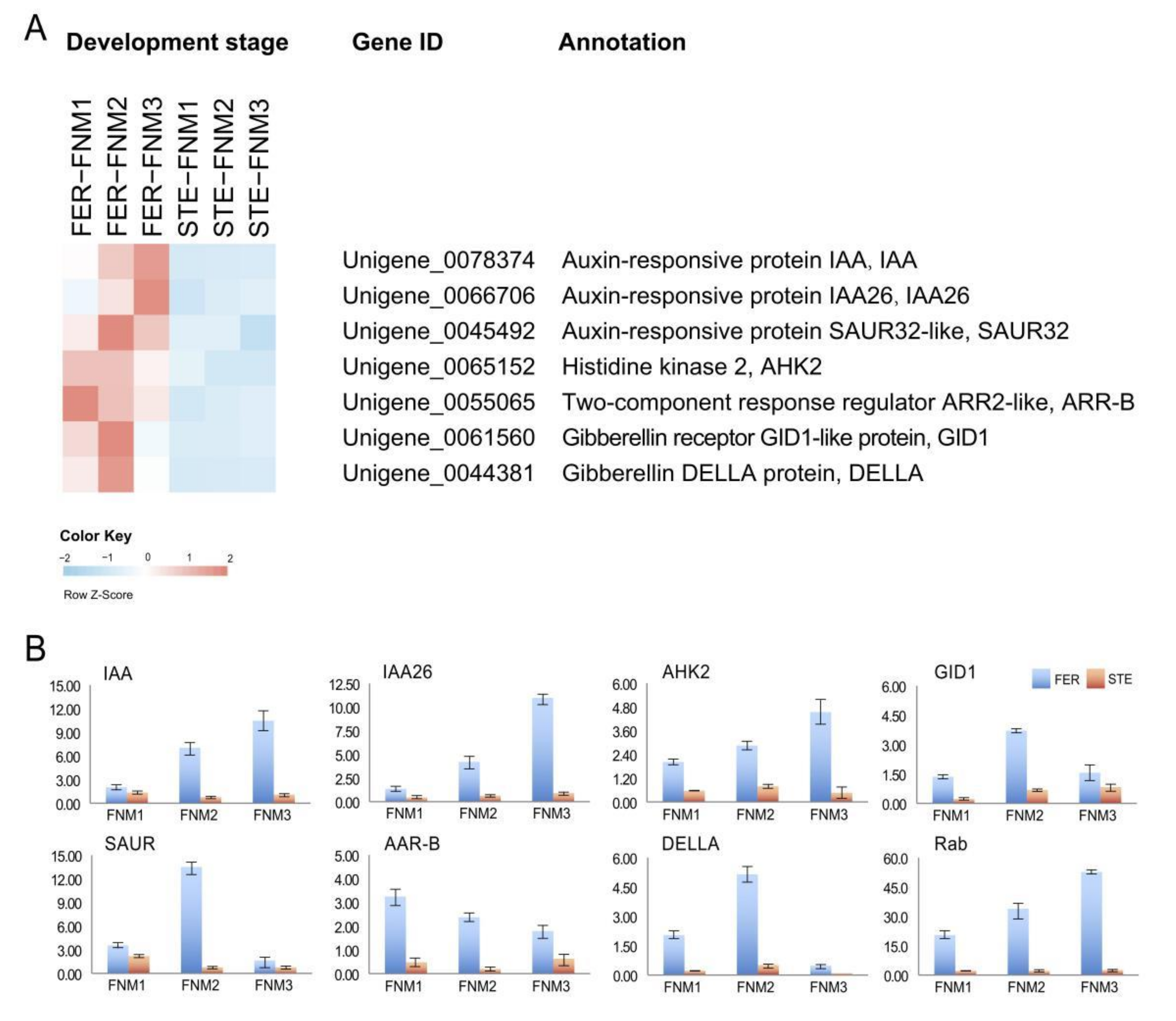 Ijms 23 01915 g004 550