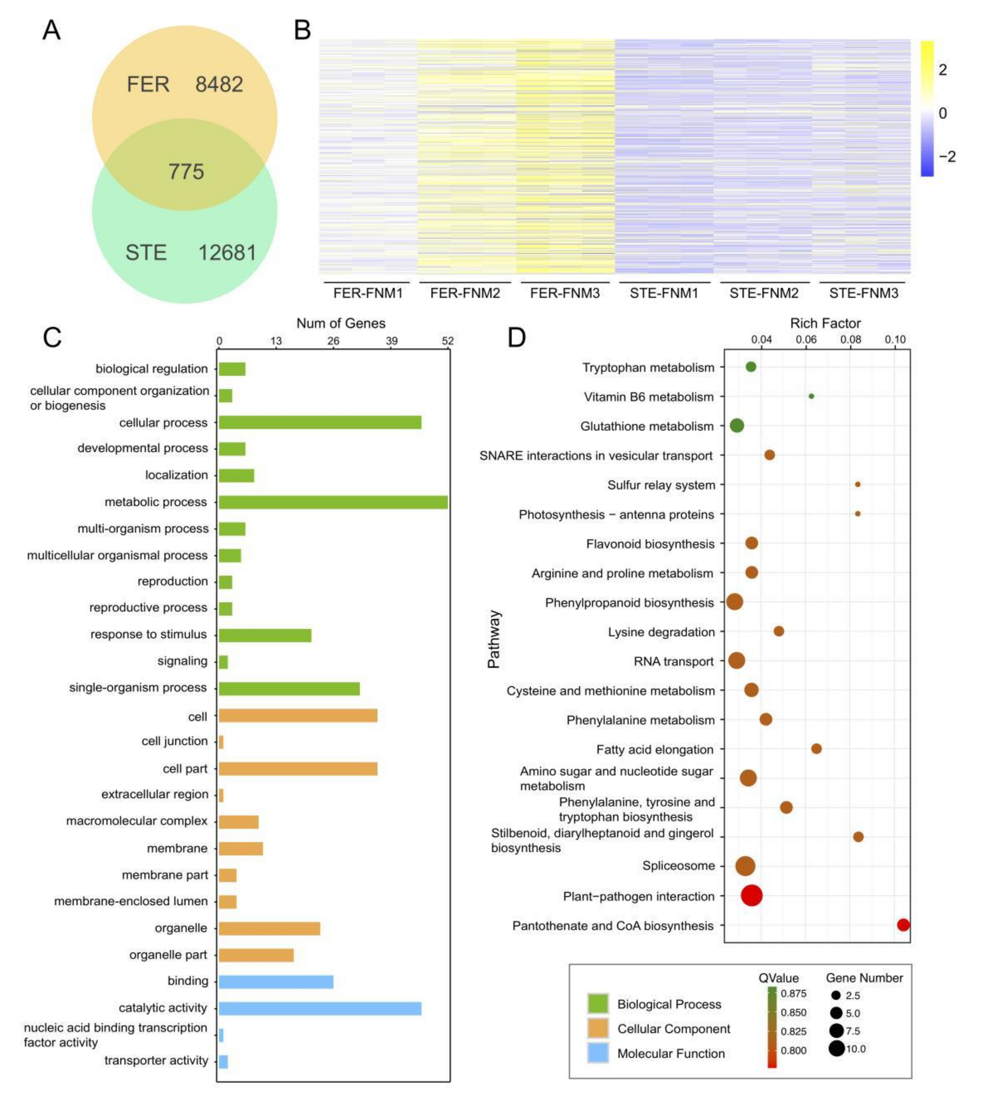 Ijms 23 01915 g005 550