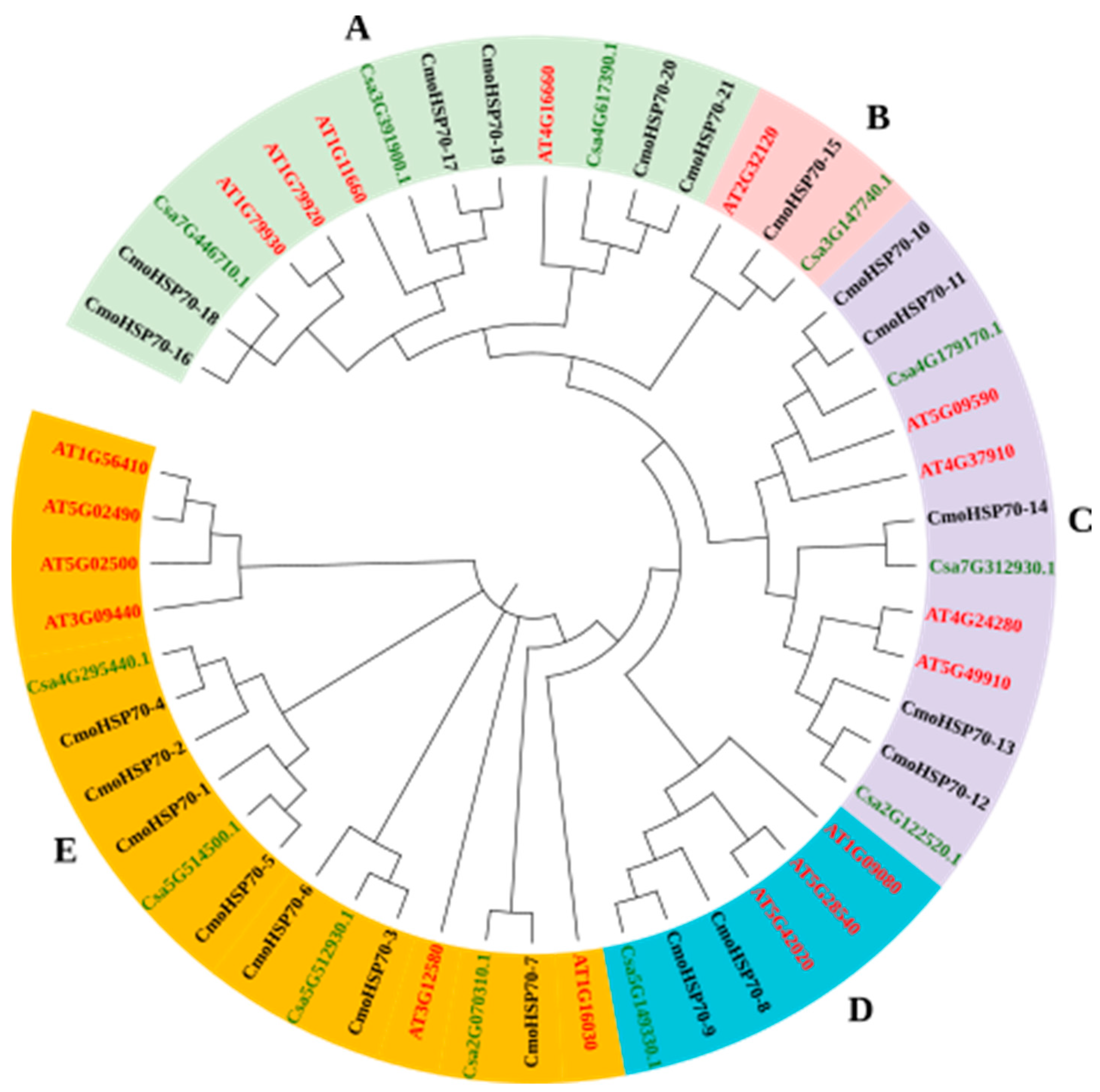 Ijms 23 01918 g001 550