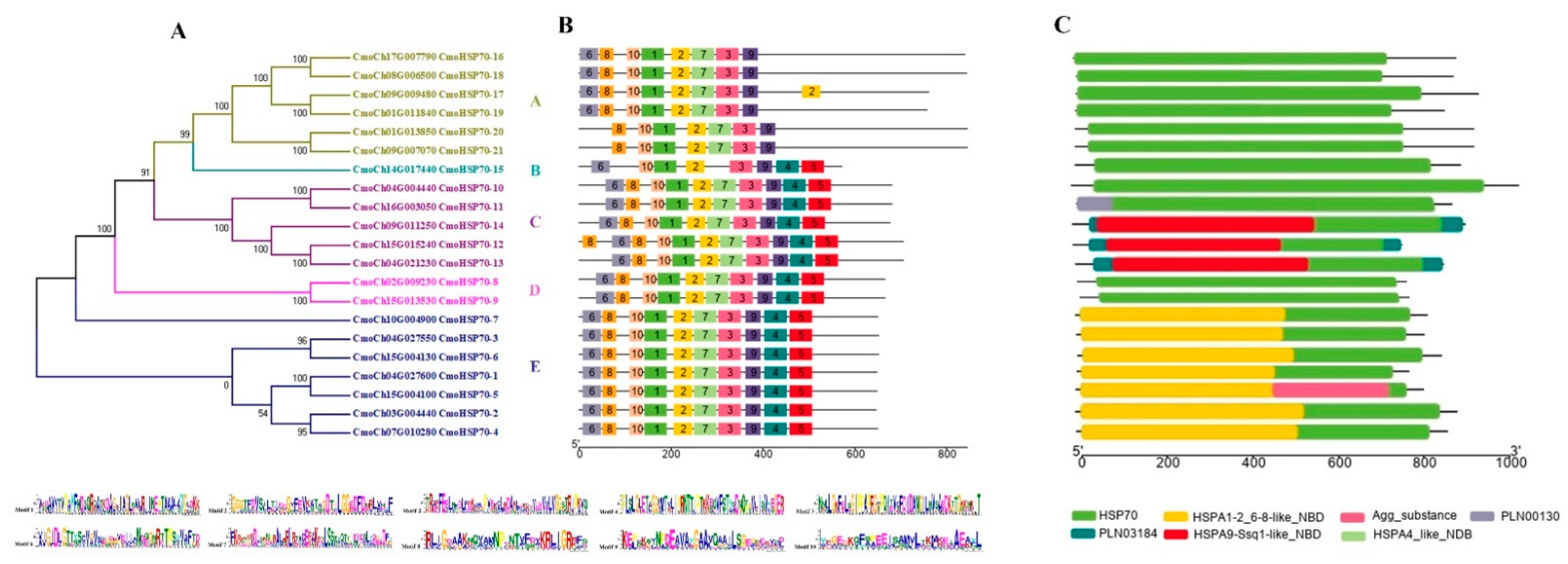 Ijms 23 01918 g002 550
