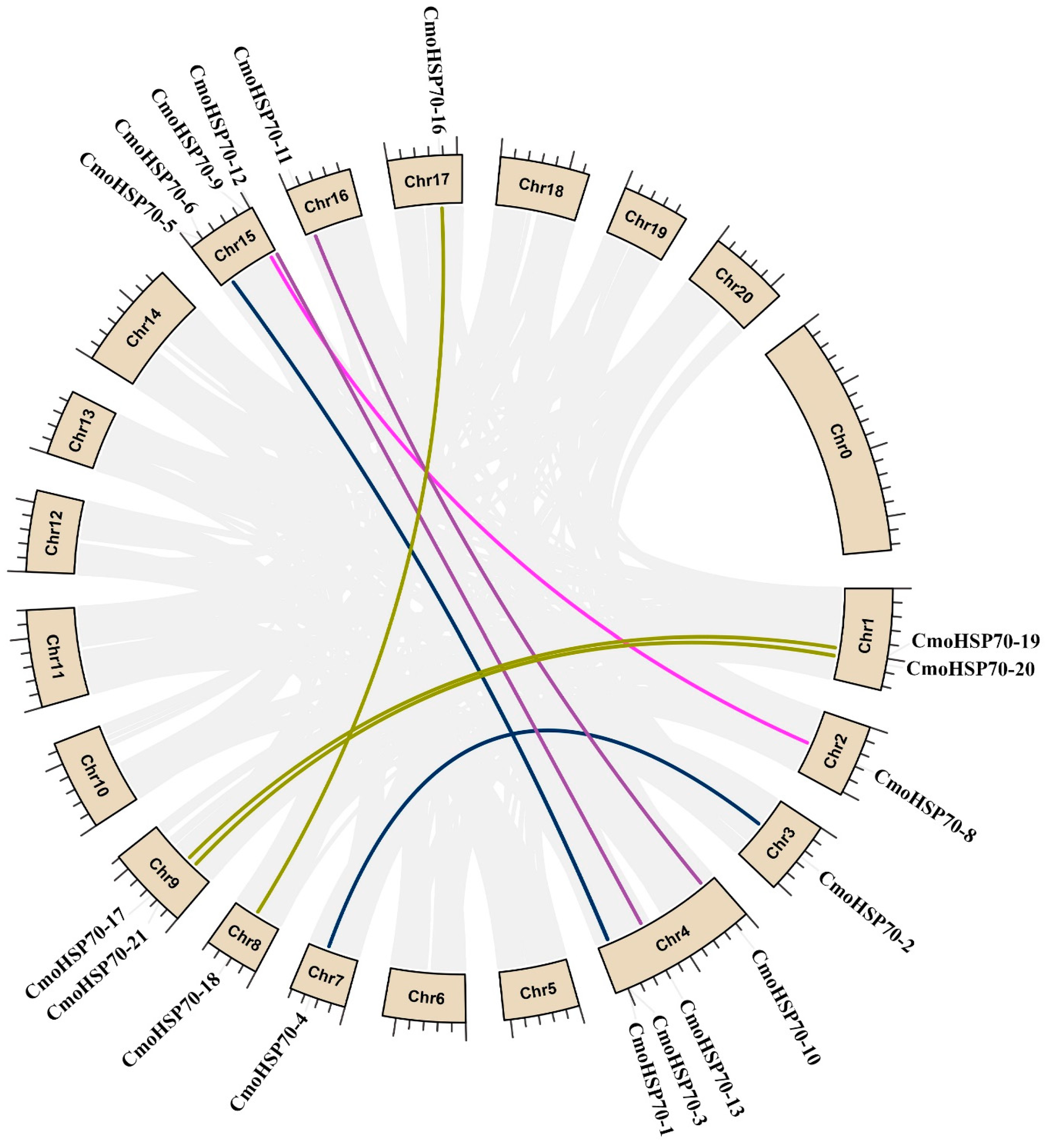 Ijms 23 01918 g005 550