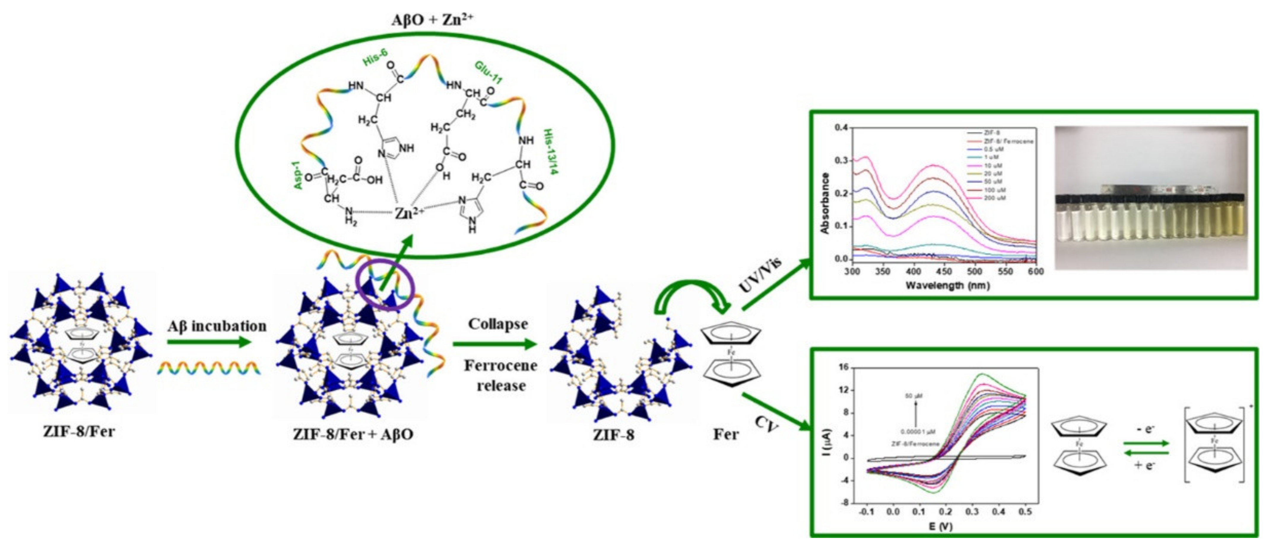 Ijms 23 01923 g002 550