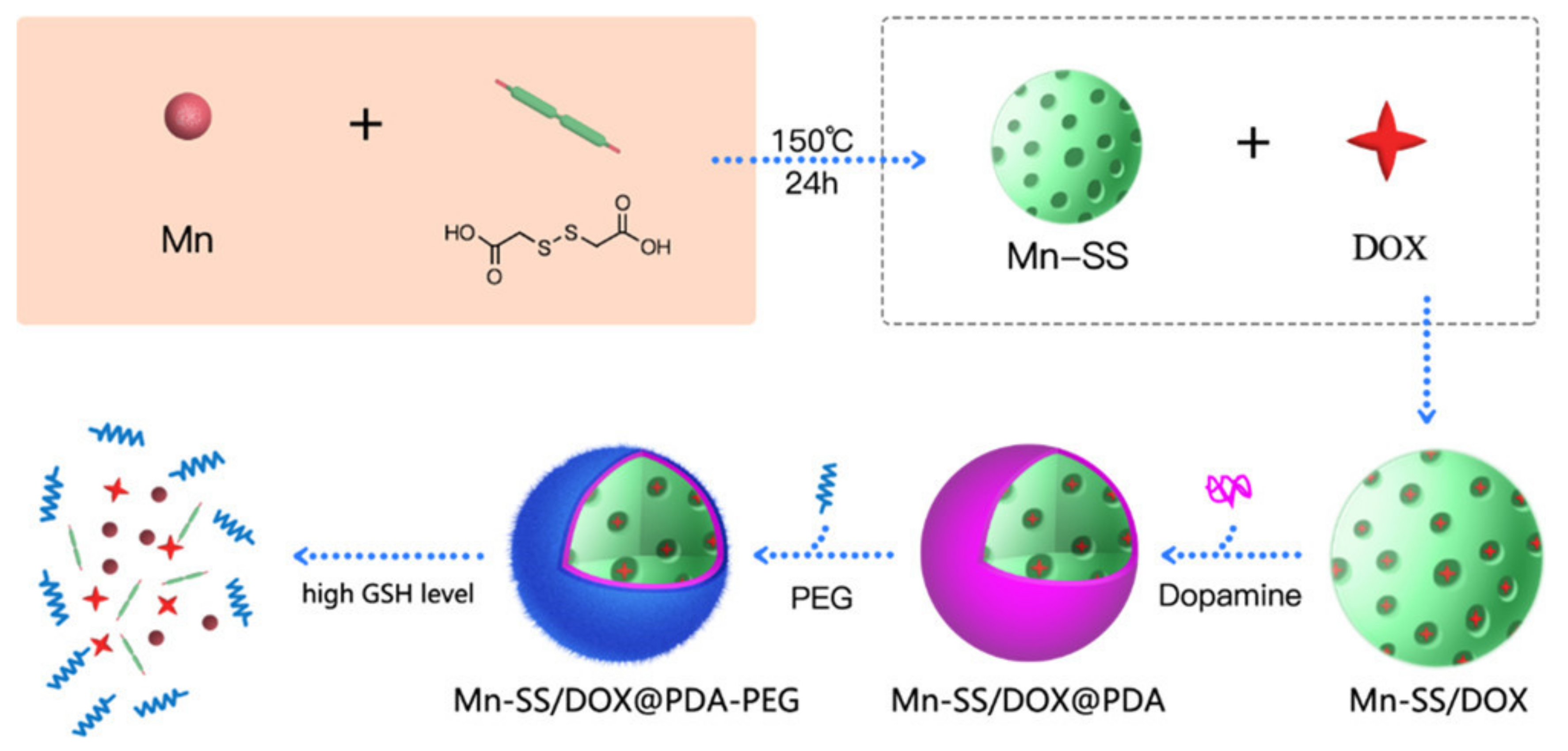 Ijms 23 01923 g003 550