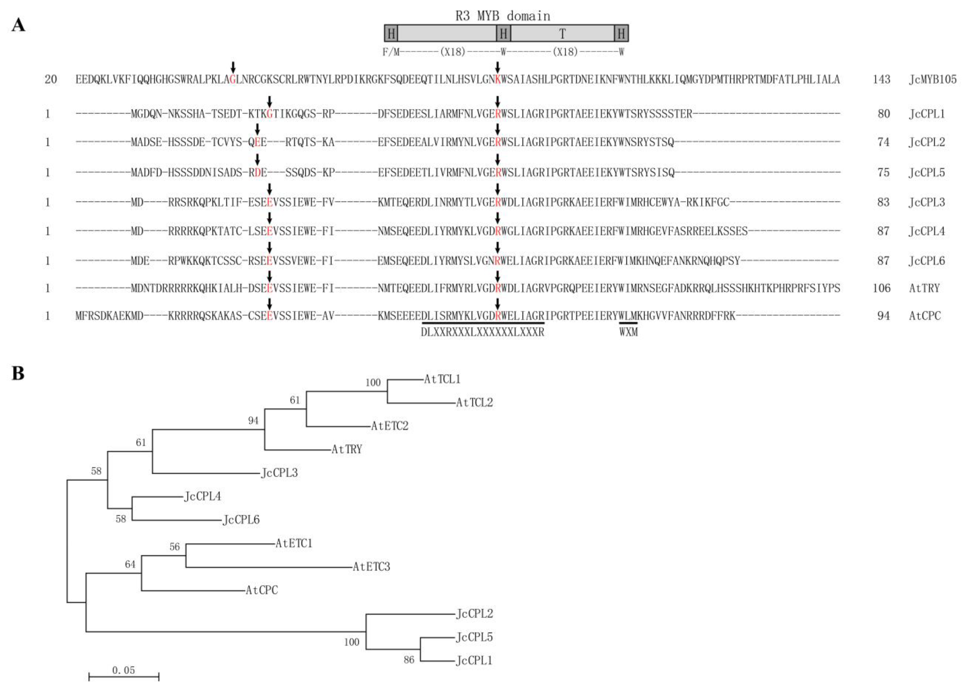Ijms 23 01924 g001 550