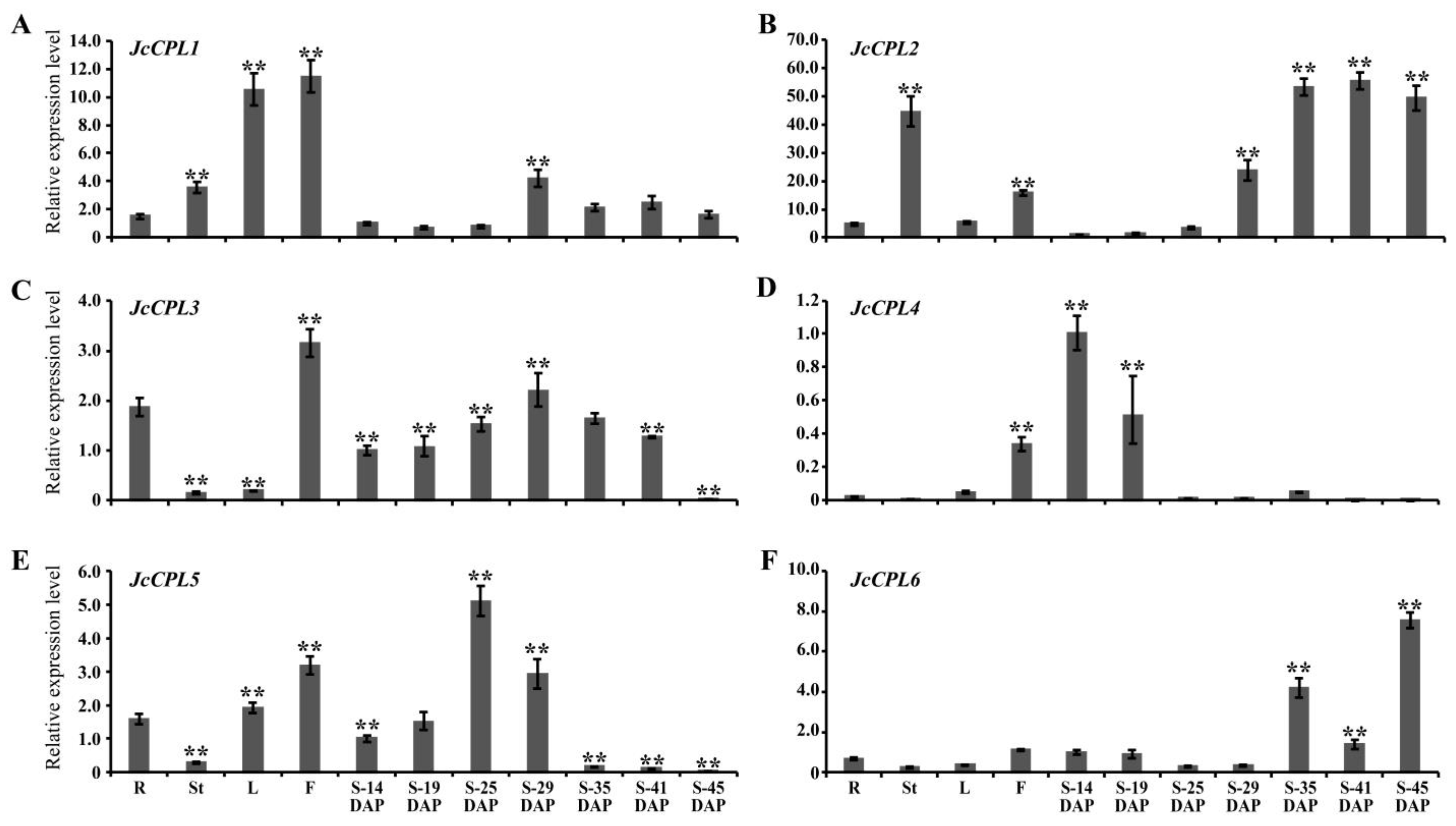 Ijms 23 01924 g002 550