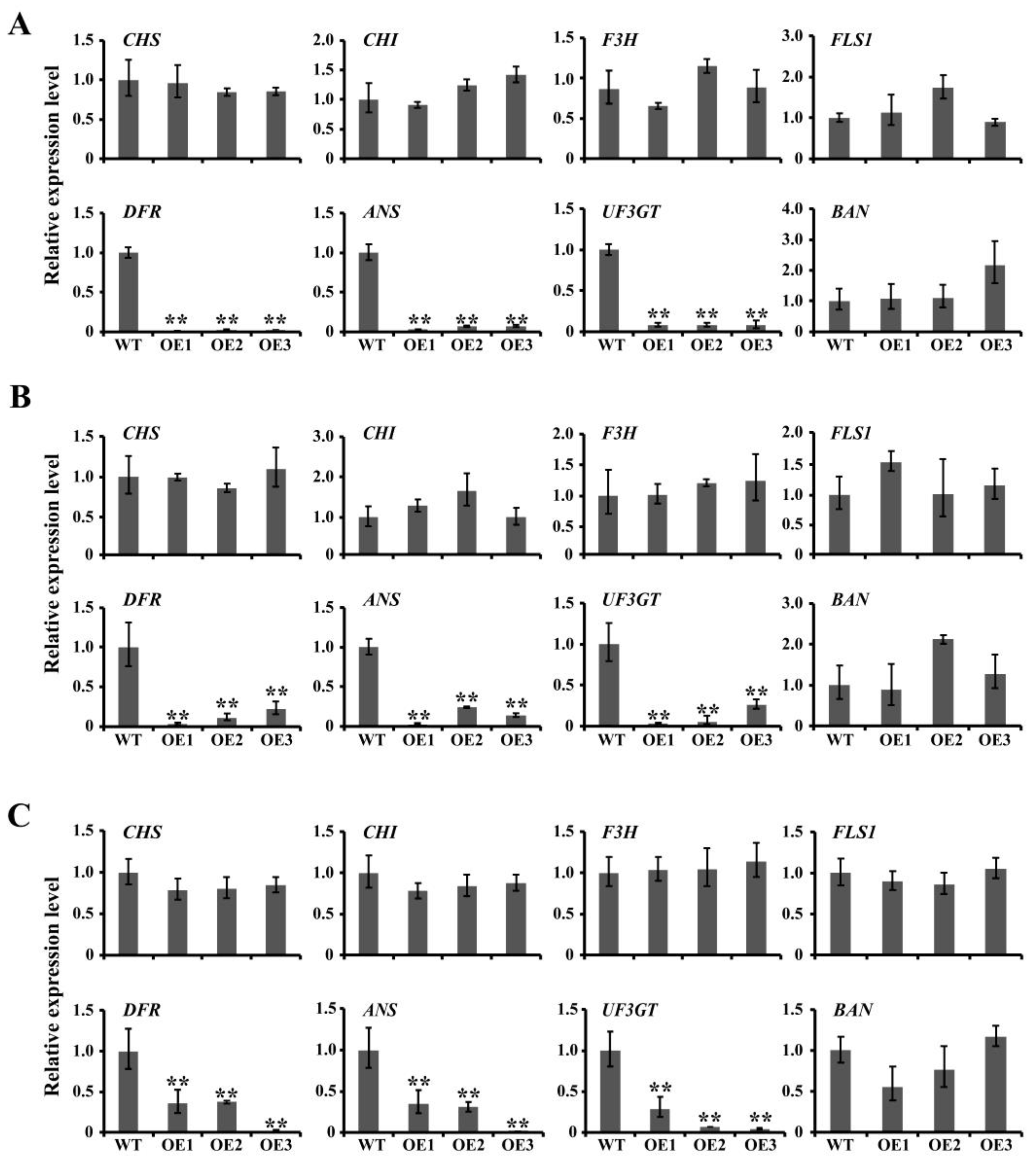 Ijms 23 01924 g007 550