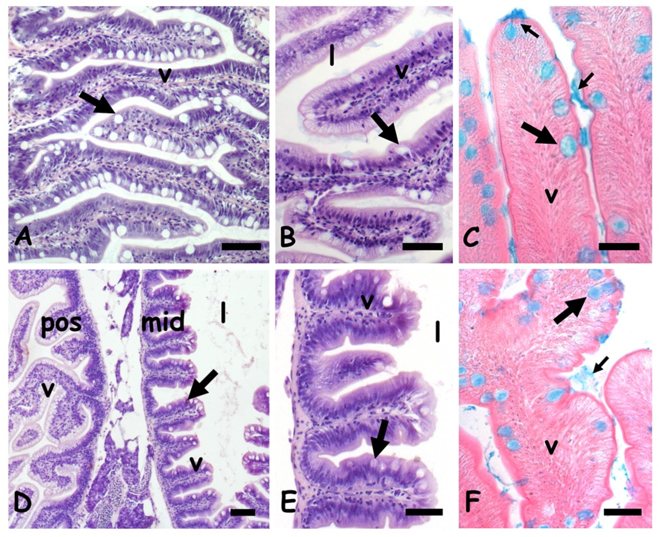 Ijms 23 01927 g001 550