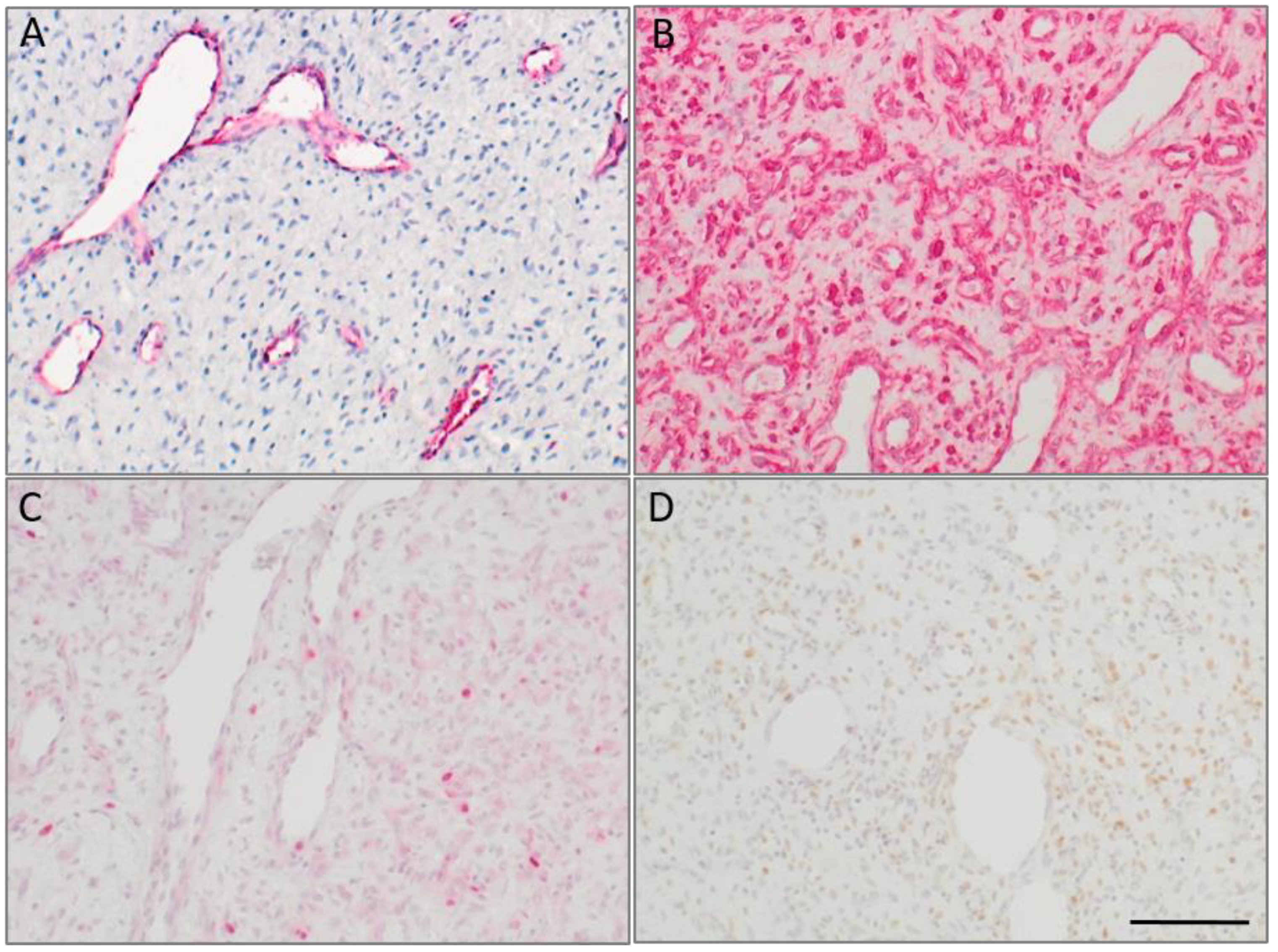 Ijms 23 01932 g001 550