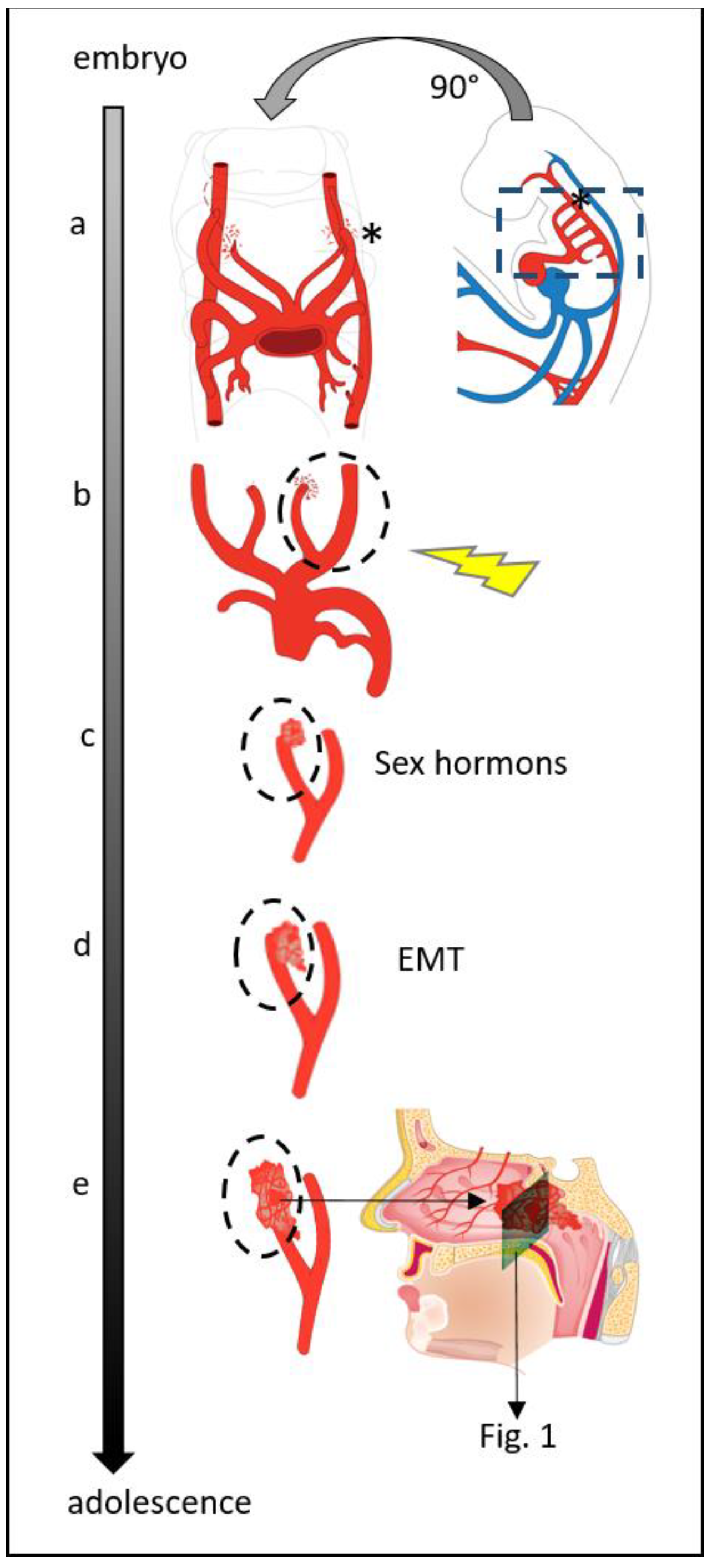 Ijms 23 01932 g004 550