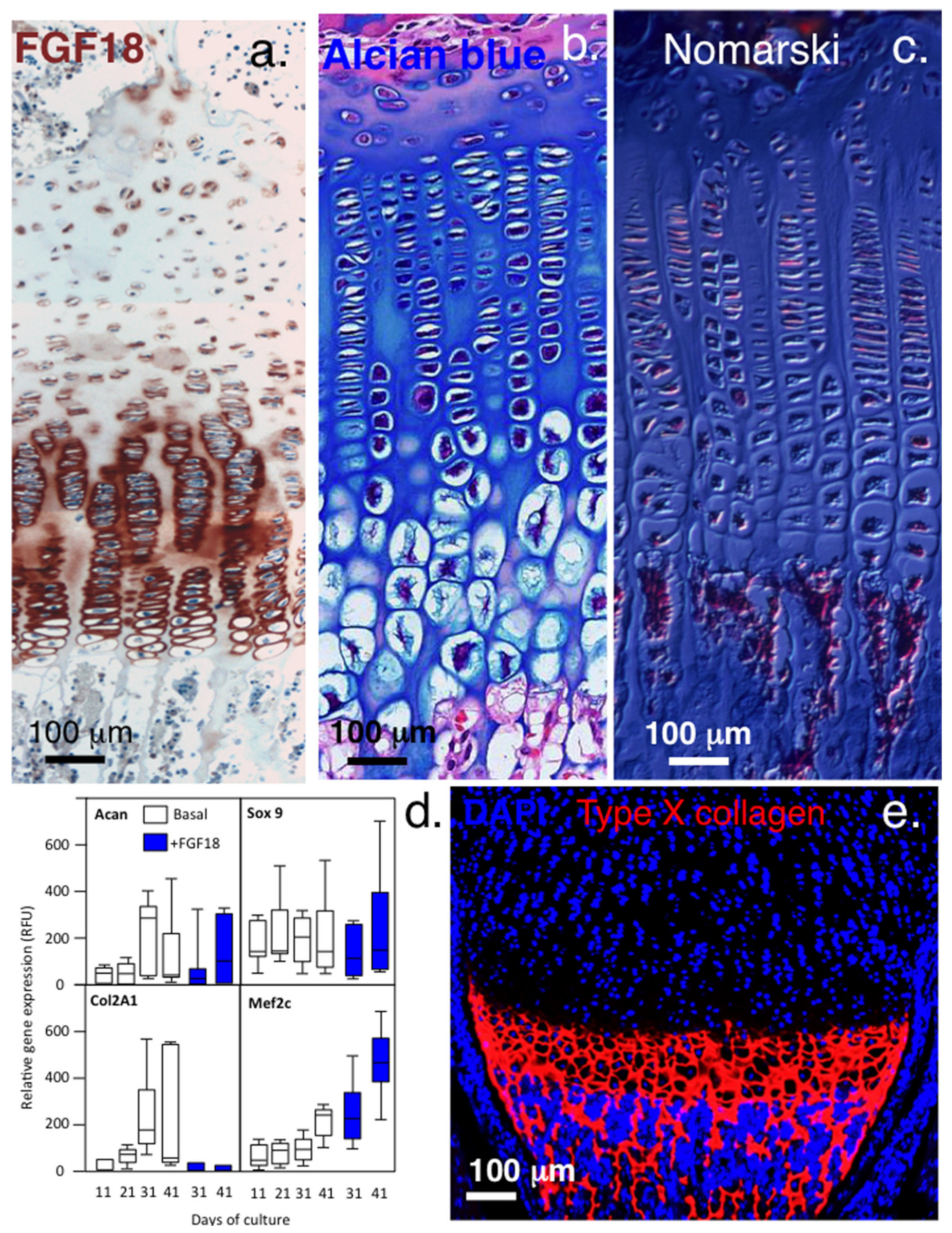 Ijms 23 01934 g004 Ijms 23 01934 g004