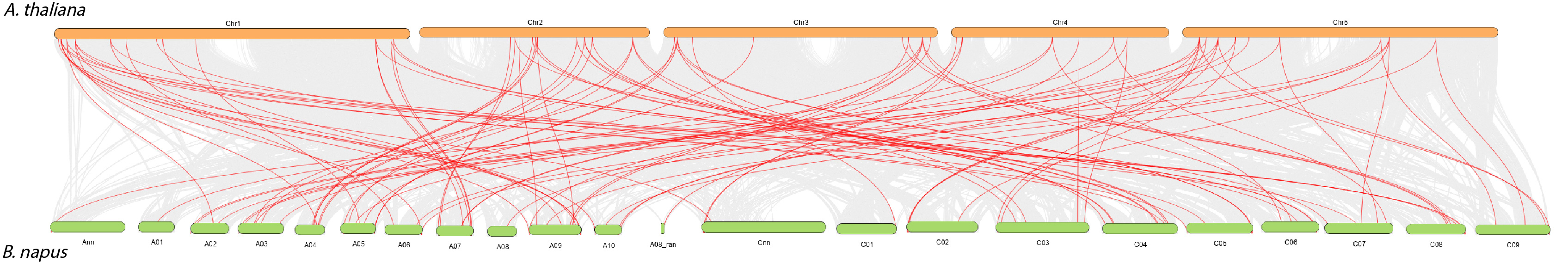 Ijms 23 01936 g003 550