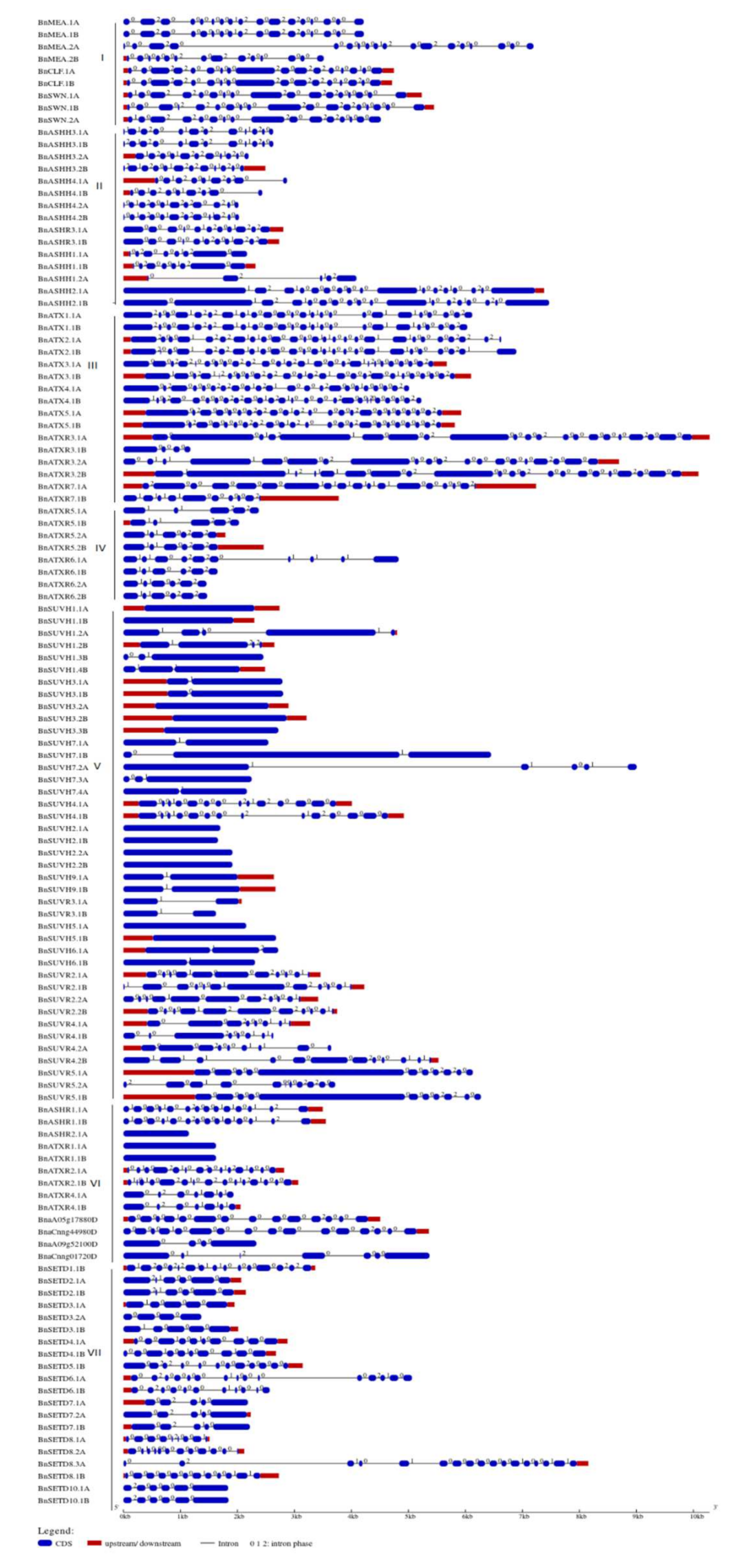 Ijms 23 01936 g005 550